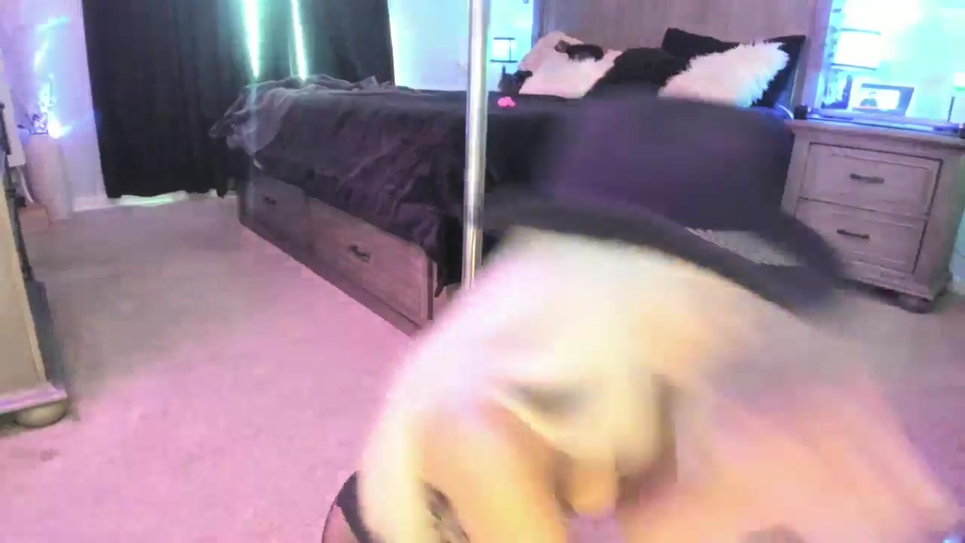 Gallery image thumbnail from TeXxxx's myfreecams stream on, 07/31/2025, 18:14 image 3 of 20