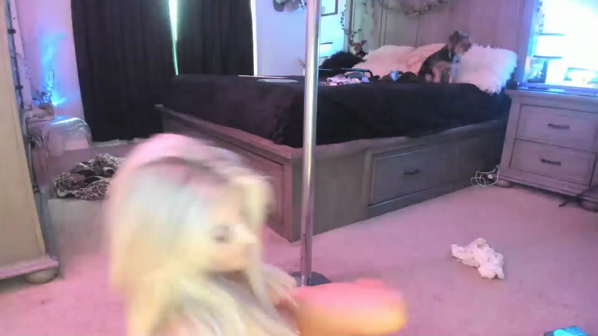 Gallery image thumbnail from TeXxxx's myfreecams stream on, 08/05/2025, 20:31 image 12 of 20