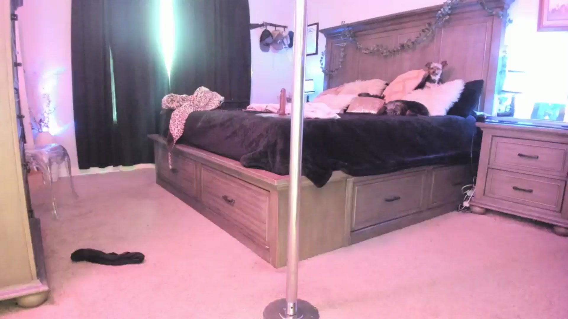 Gallery image thumbnail from TeXxxx's myfreecams stream on, 08/07/2025, 17:48 image 17 of 20