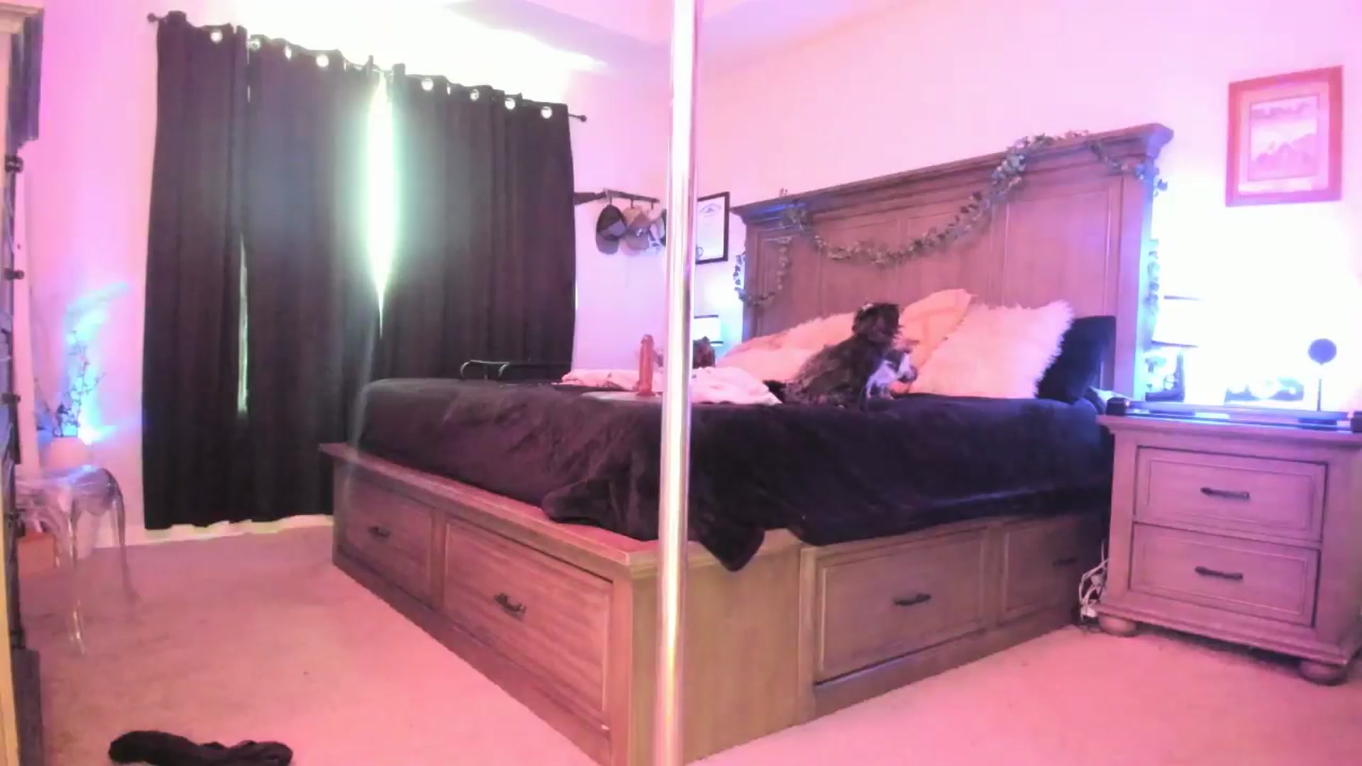 Gallery image thumbnail from TeXxxx's myfreecams stream on, 08/07/2025, 17:48 image 14 of 20