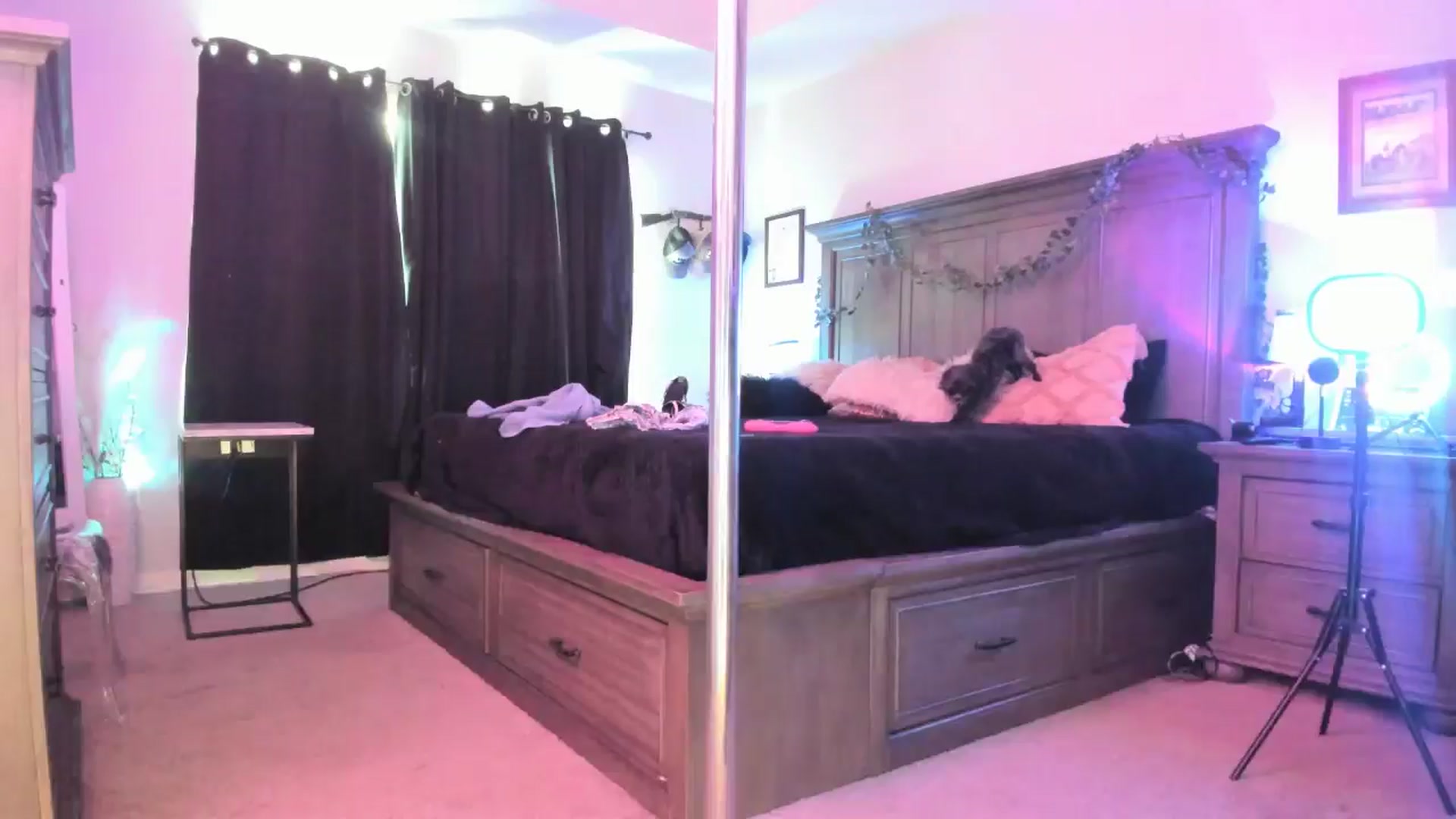 Gallery image thumbnail from TeXxxx's myfreecams stream on, 08/18/2025, 18:36 image 8 of 20