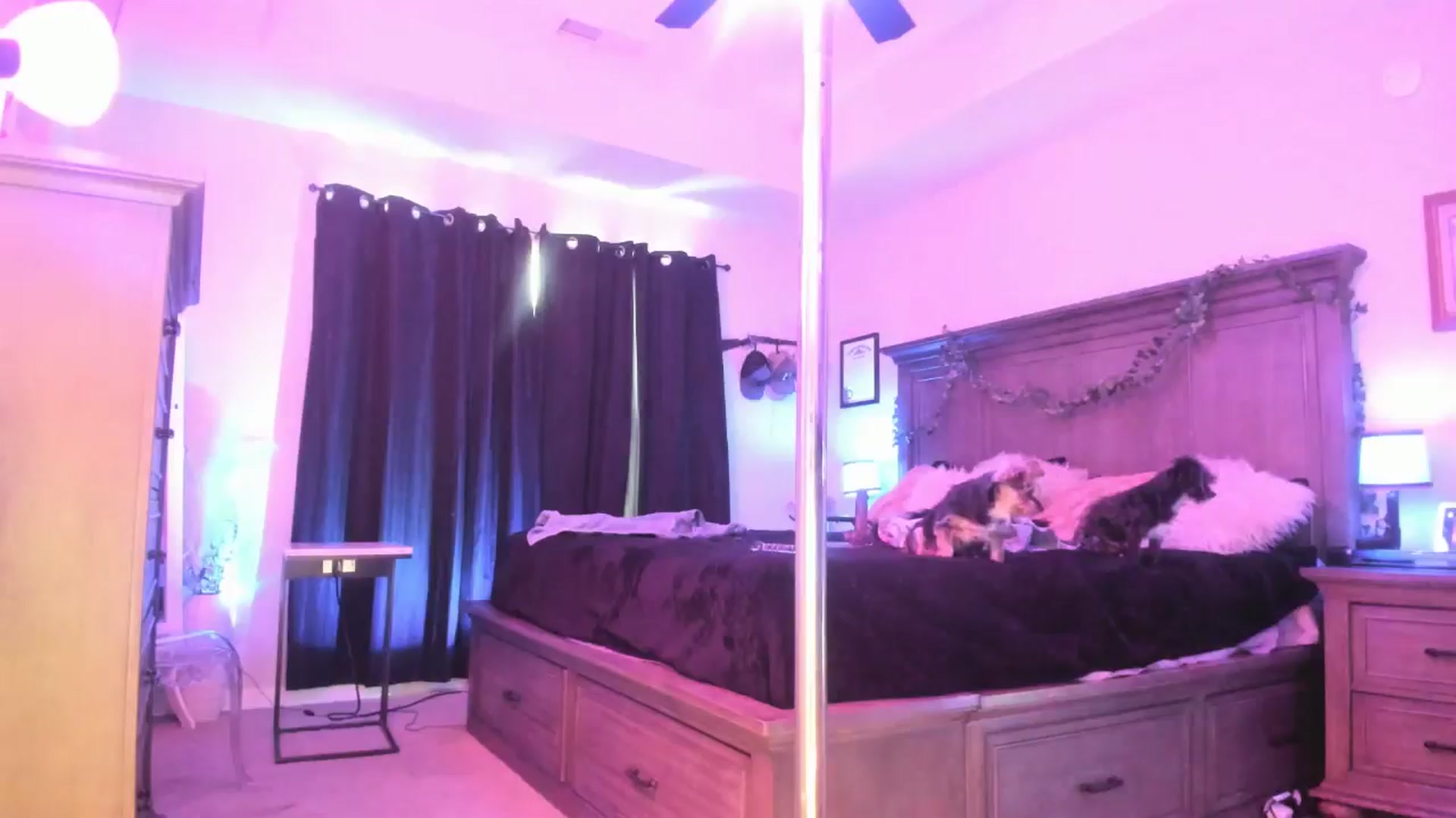 Gallery image thumbnail from TeXxxx's myfreecams stream on, 08/21/2025, 19:26 image 8 of 20