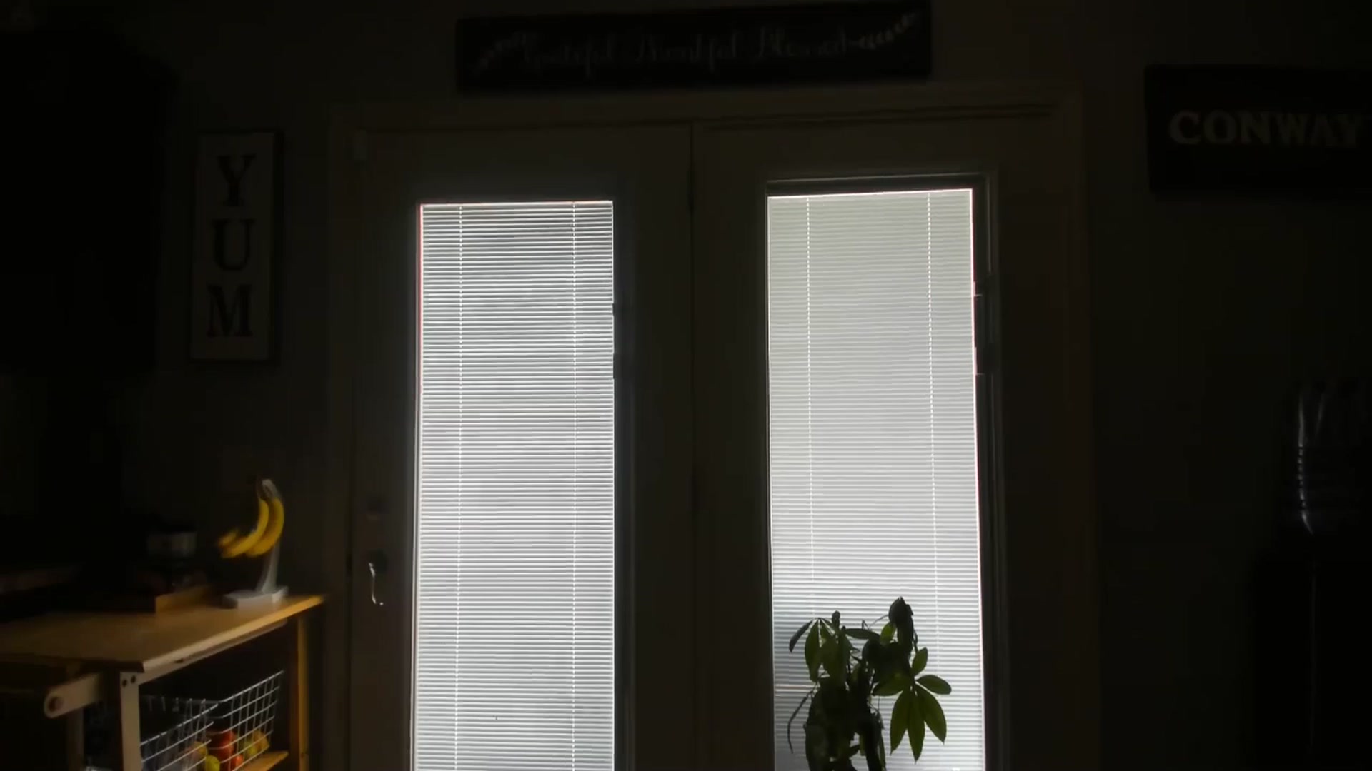 Gallery image thumbnail from TeXxxx's myfreecams stream on, 08/25/2025, 19:04 image 9 of 20