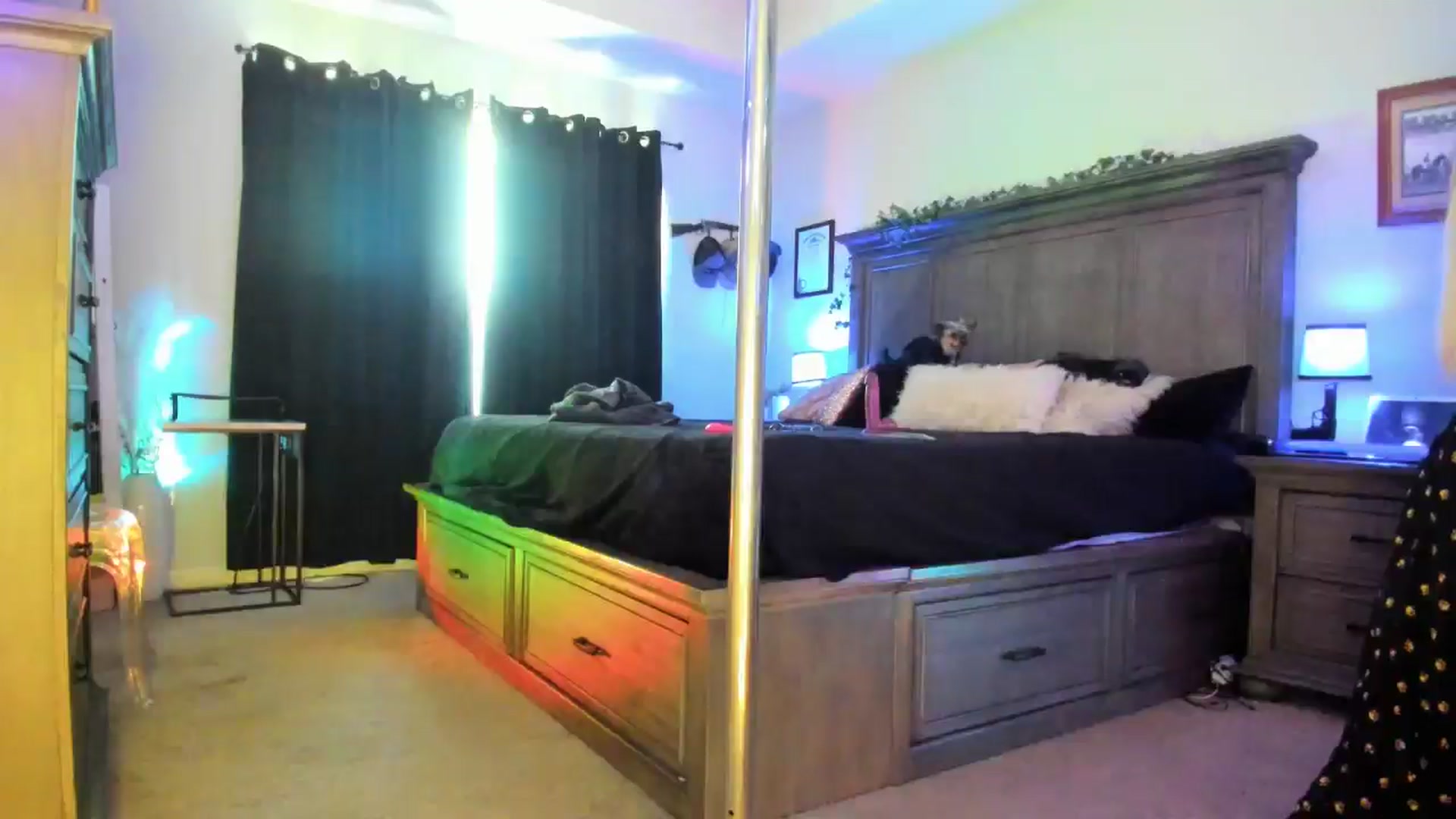 Gallery image thumbnail from TeXxxx's myfreecams stream on, 08/27/2025, 16:47 image 12 of 20