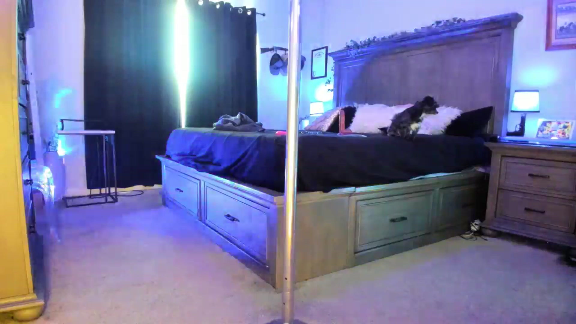 Gallery image thumbnail from TeXxxx's myfreecams stream on, 08/27/2025, 16:47 image 11 of 20