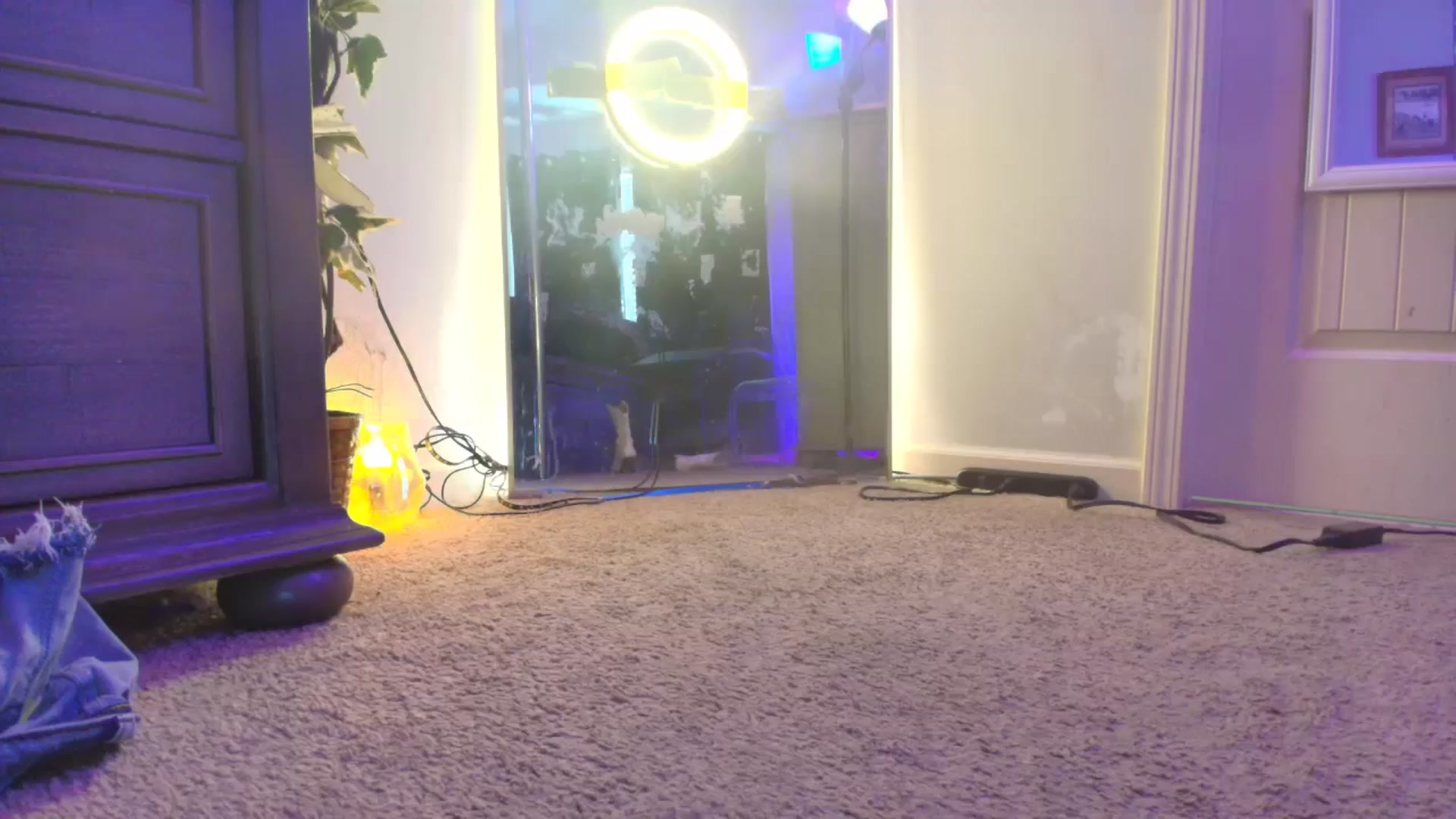 Gallery image thumbnail from TeXxxx's myfreecams stream on, 09/30/2025, 17:34 image 3 of 20