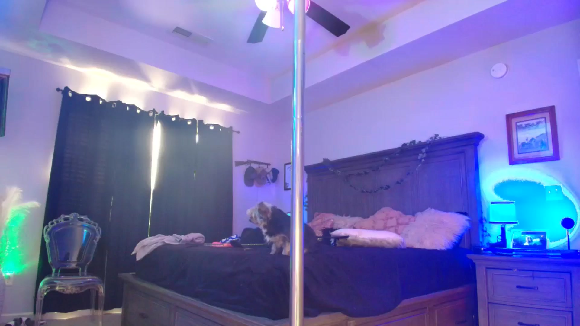 Gallery image thumbnail from TeXxxx's myfreecams stream on, 10/24/2025, 22:19 image 19 of 20