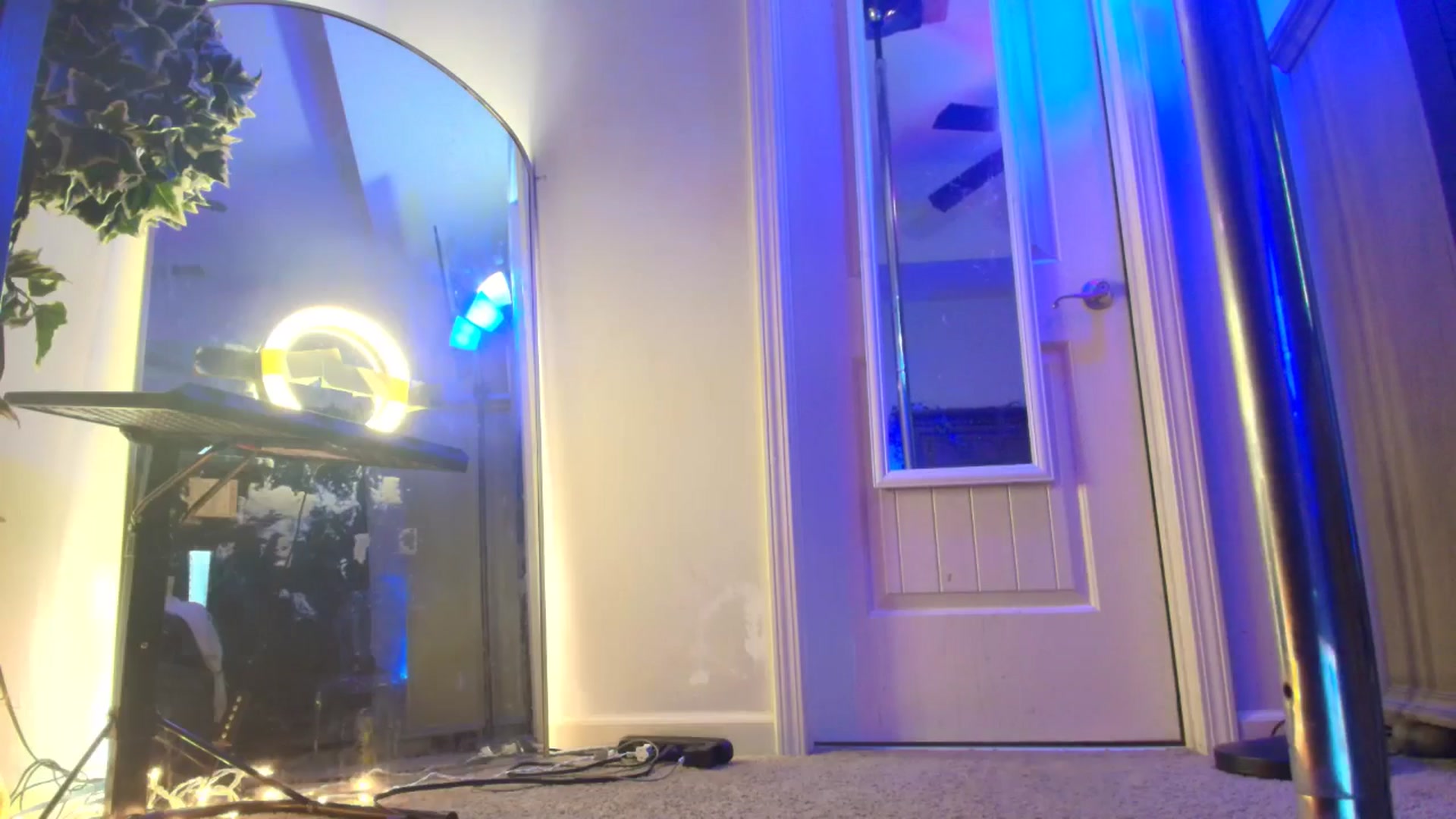 Gallery image thumbnail from TeXxxx's myfreecams stream on, 10/28/2025, 22:16 image 14 of 20