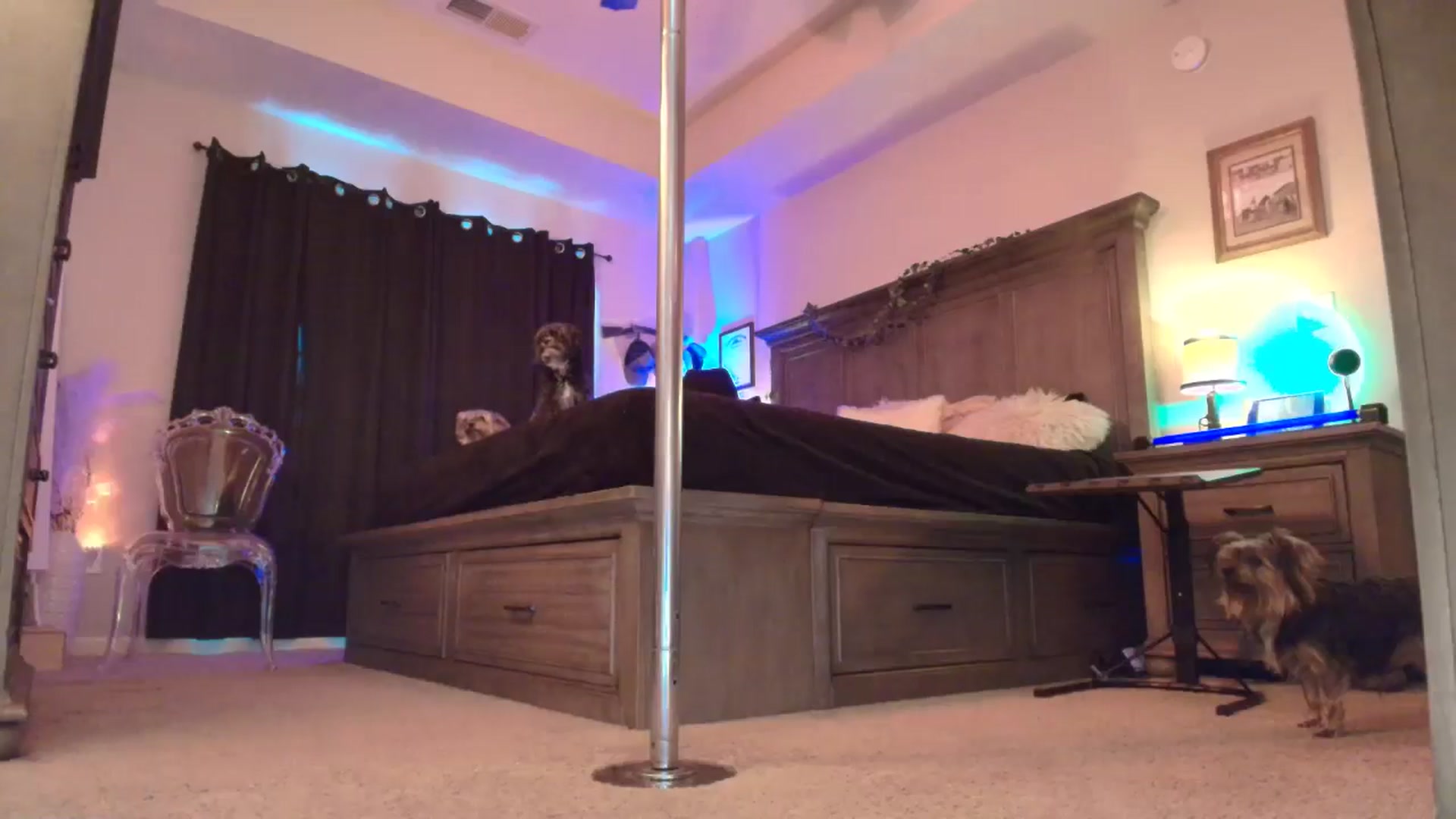 Gallery image thumbnail from TeXxxx's myfreecams stream on, 10/29/2025, 20:21 image 12 of 20