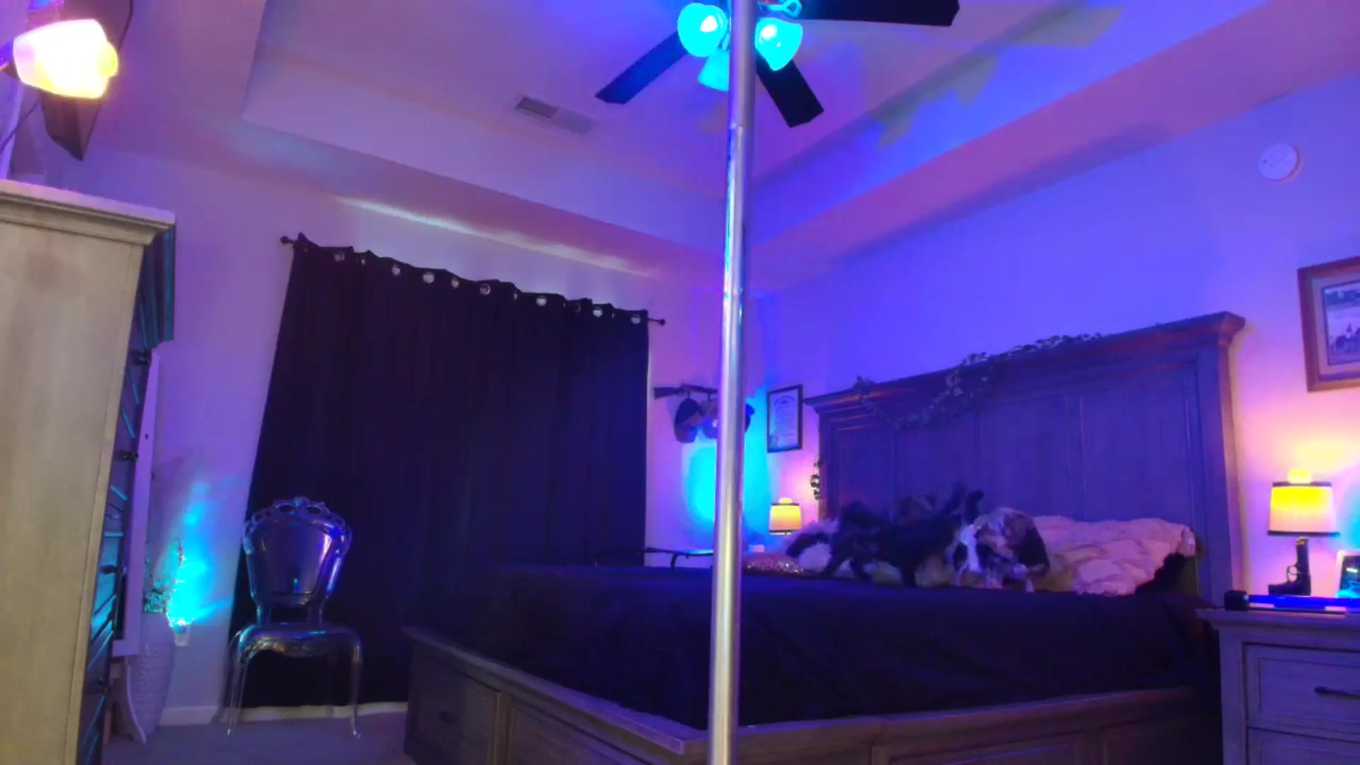 Gallery image thumbnail from TeXxxx's myfreecams stream on, 10/30/2025, 17:54 image 5 of 20