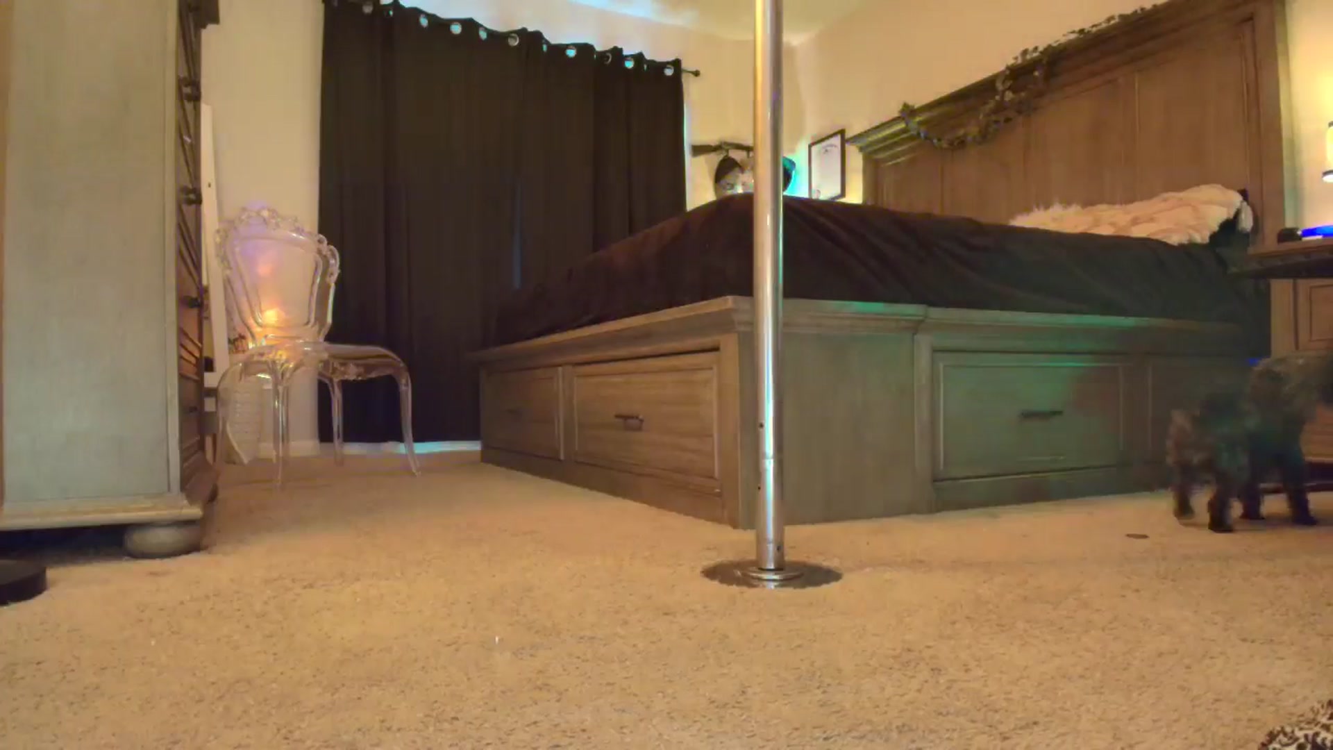 Gallery image thumbnail from TeXxxx's myfreecams stream on, 10/30/2025, 20:21 image 13 of 20
