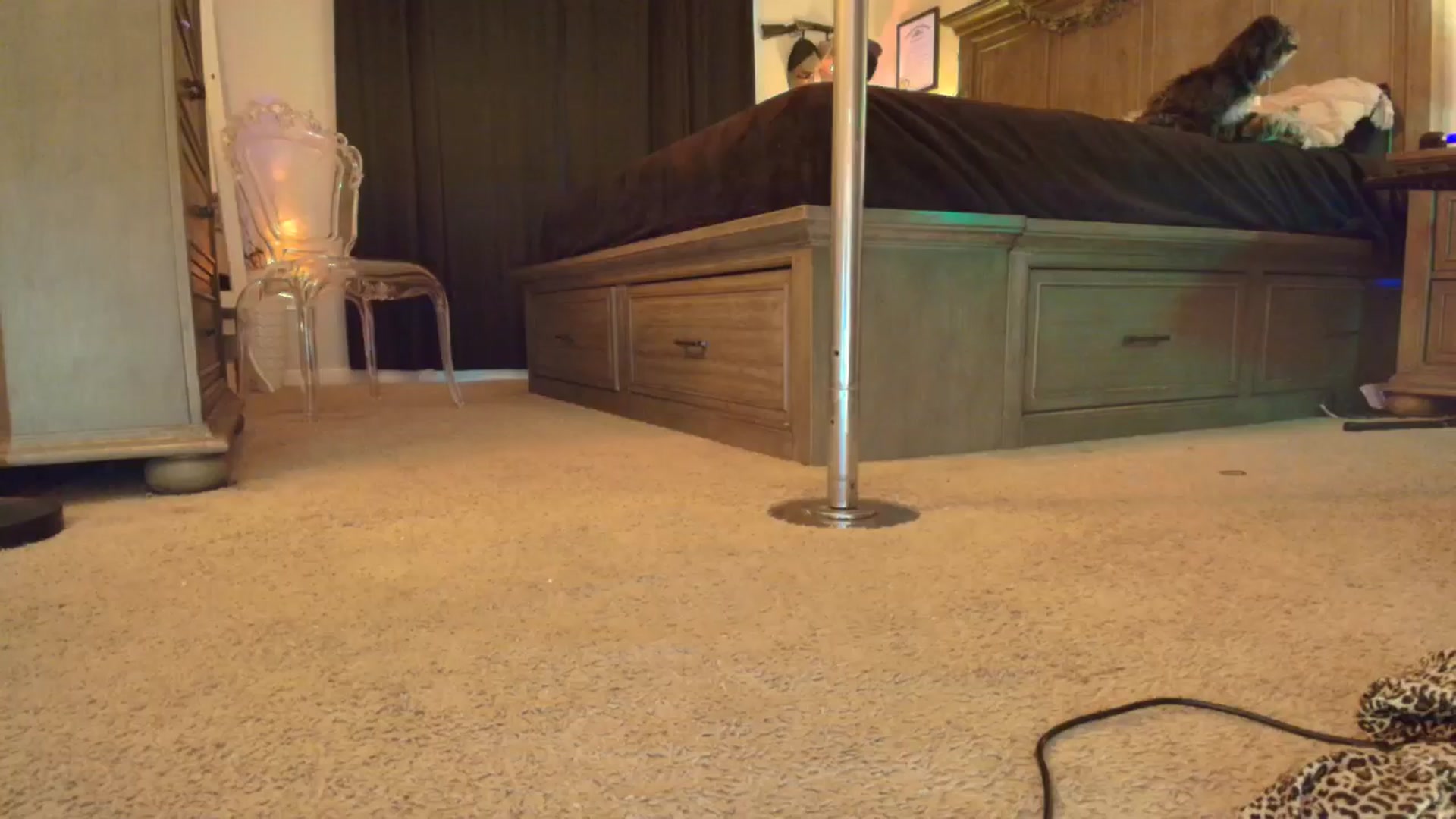 Gallery image thumbnail from TeXxxx's myfreecams stream on, 10/30/2025, 20:21 image 12 of 20