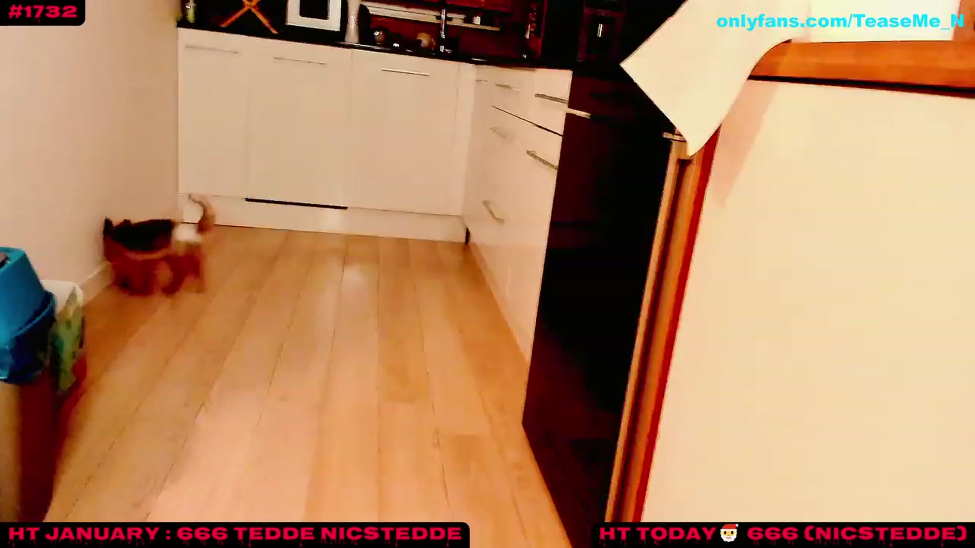 Gallery image thumbnail from TeaseMe_N's myfreecams stream on, 01/06/2023, 05:52 image 15 of 20