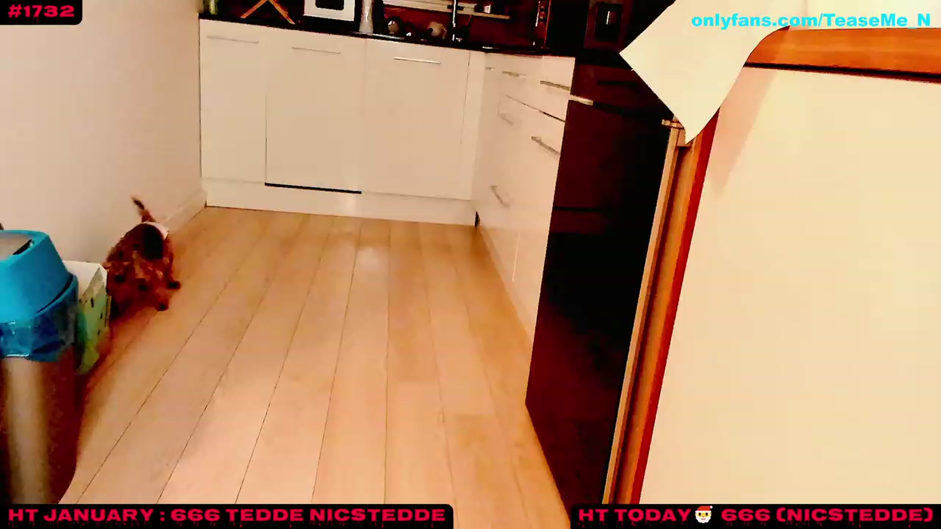 Gallery image thumbnail from TeaseMe_N's myfreecams stream on, 01/06/2023, 05:52 image 16 of 20