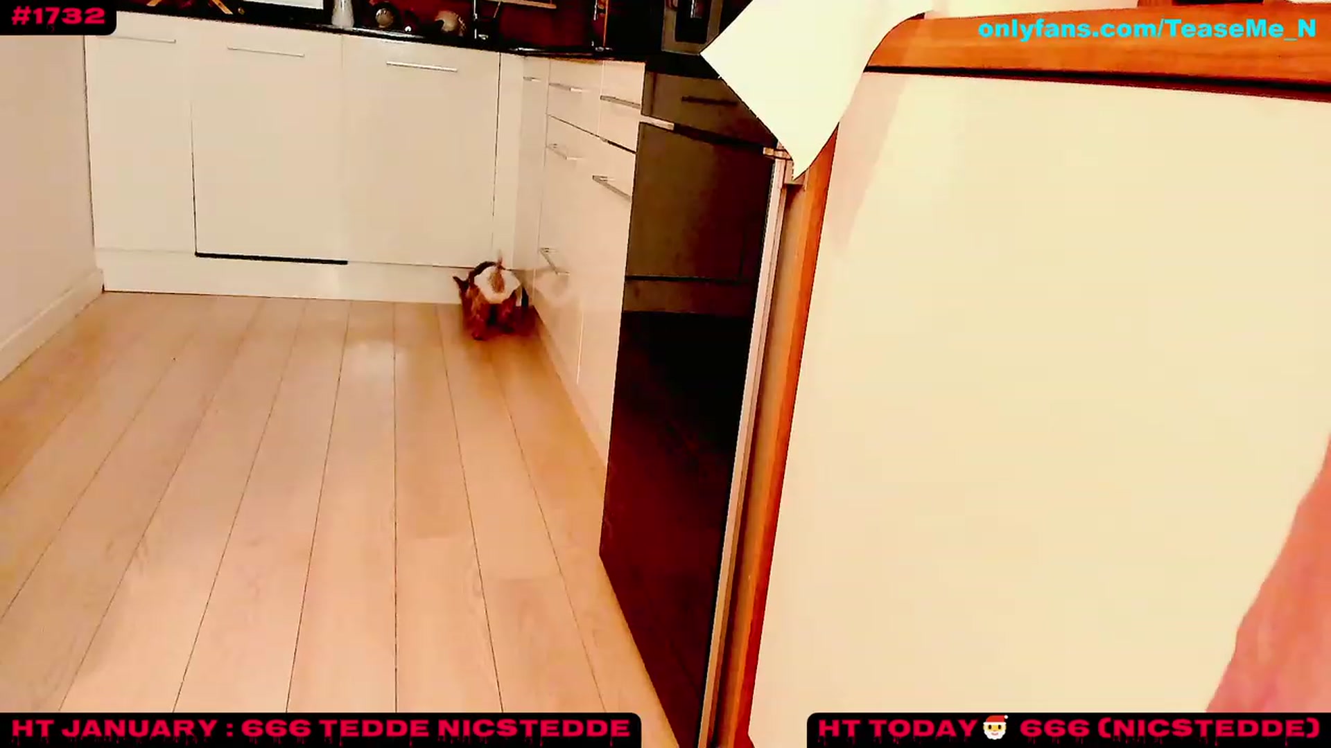 Gallery image thumbnail from TeaseMe_N's myfreecams stream on, 01/06/2023, 05:52 image 17 of 20