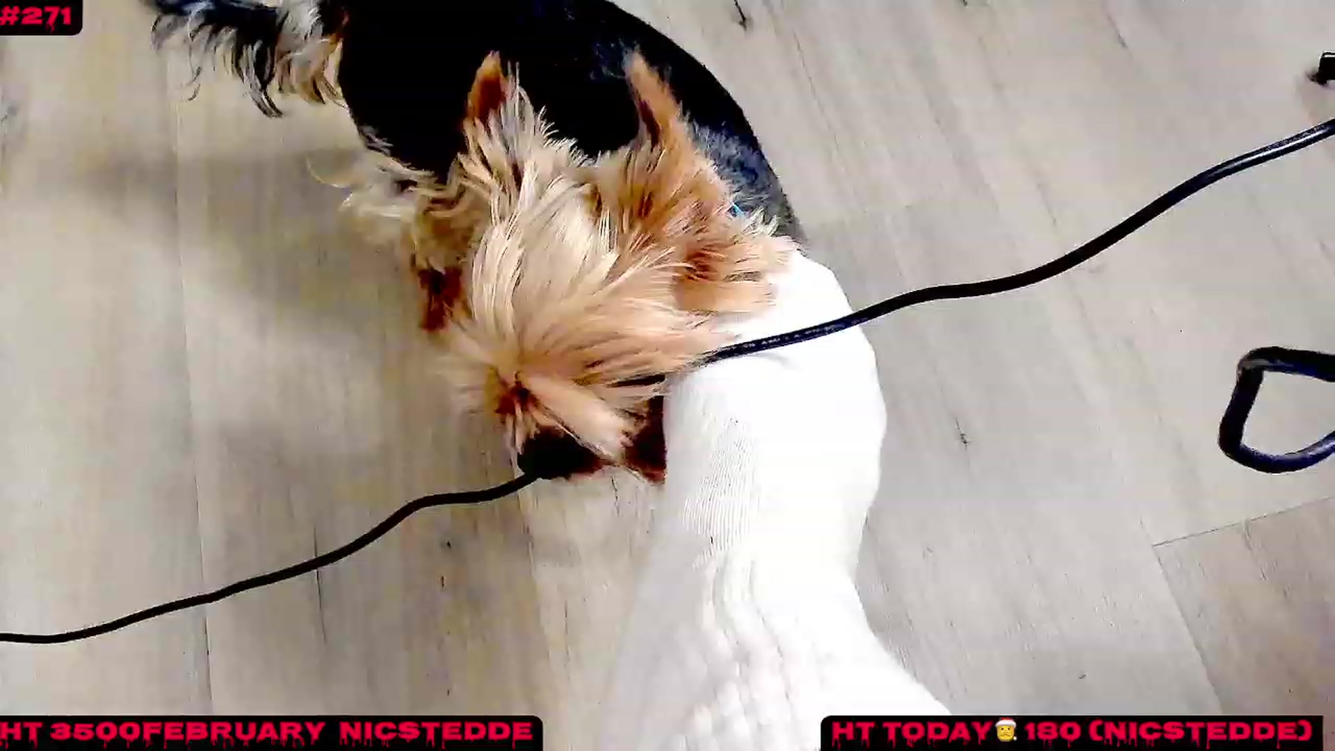 Gallery image thumbnail from TeaseMe_N's myfreecams stream on, 02/14/2023, 04:09 image 18 of 20