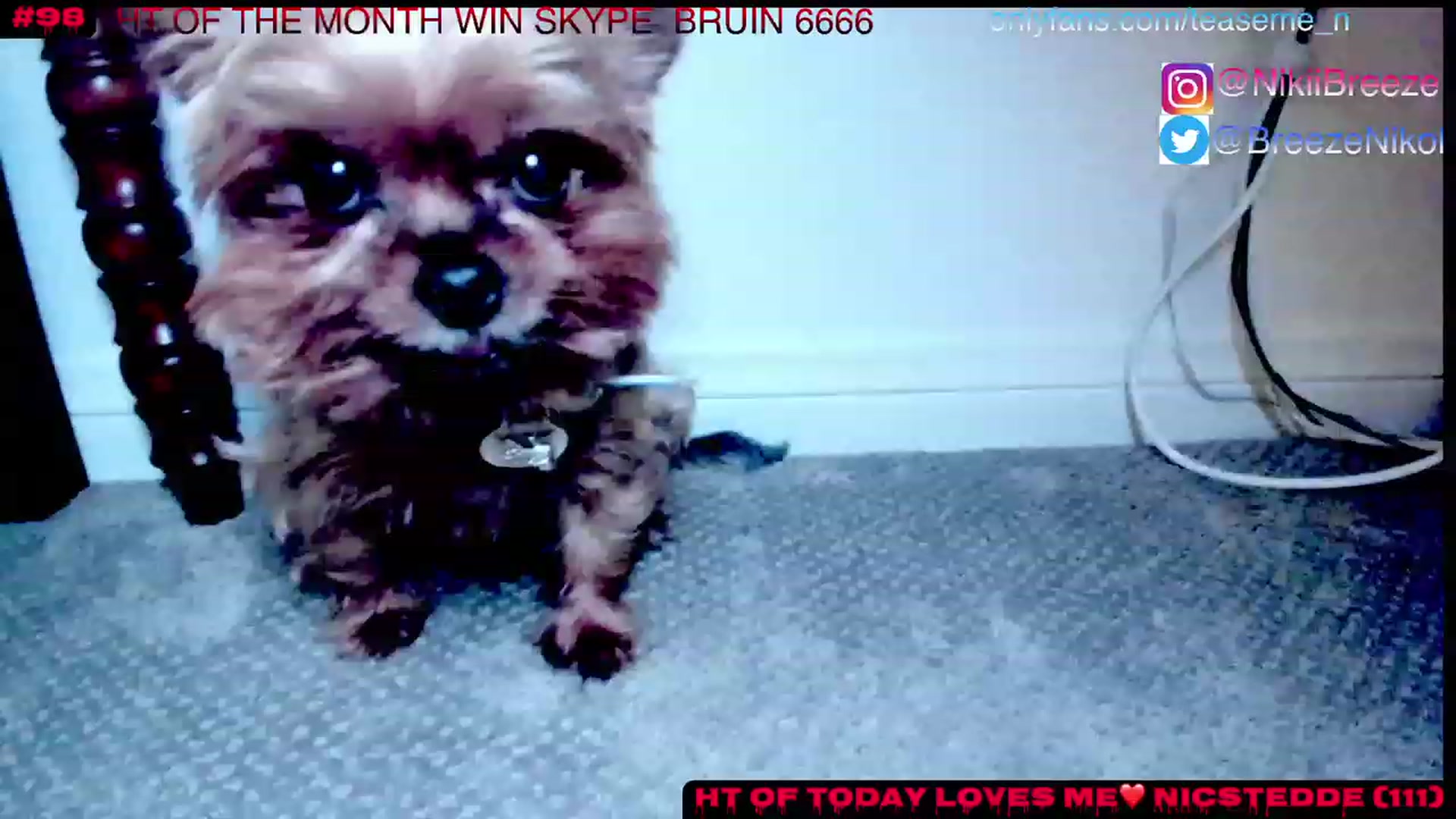 Gallery image thumbnail from TeaseMe_N's myfreecams stream on, 06/18/2023, 05:11 image 3 of 20