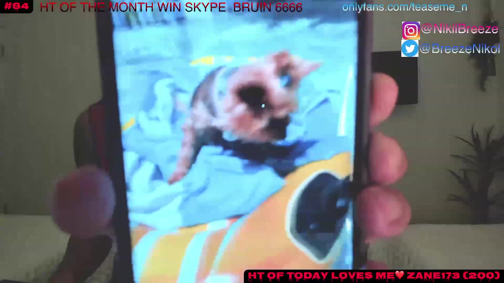 Gallery image thumbnail from TeaseMe_N's myfreecams stream on, 06/21/2023, 03:49 image 16 of 20