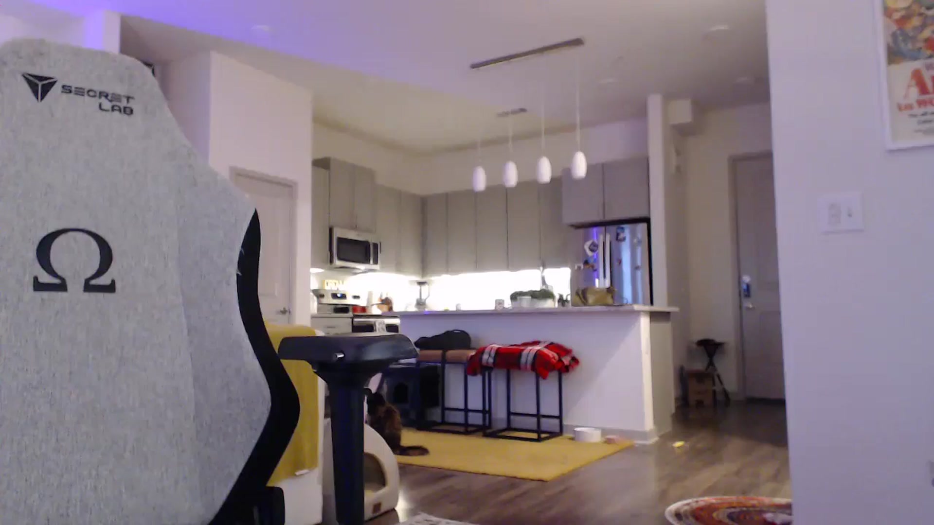 Gallery image thumbnail from Teecake's myfreecams stream on, 05/17/2024, 01:57 image 13 of 20