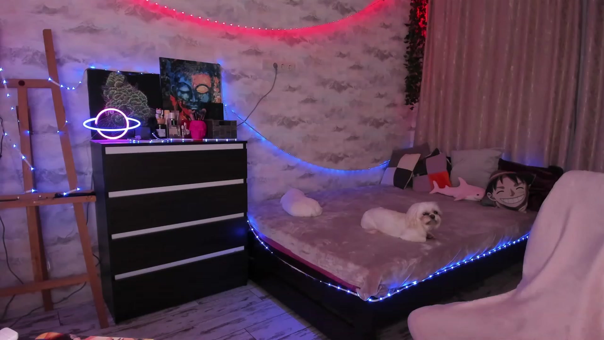 Gallery image thumbnail from TemptingSiren's myfreecams stream on, 11/20/2023, 04:31 image 12 of 20