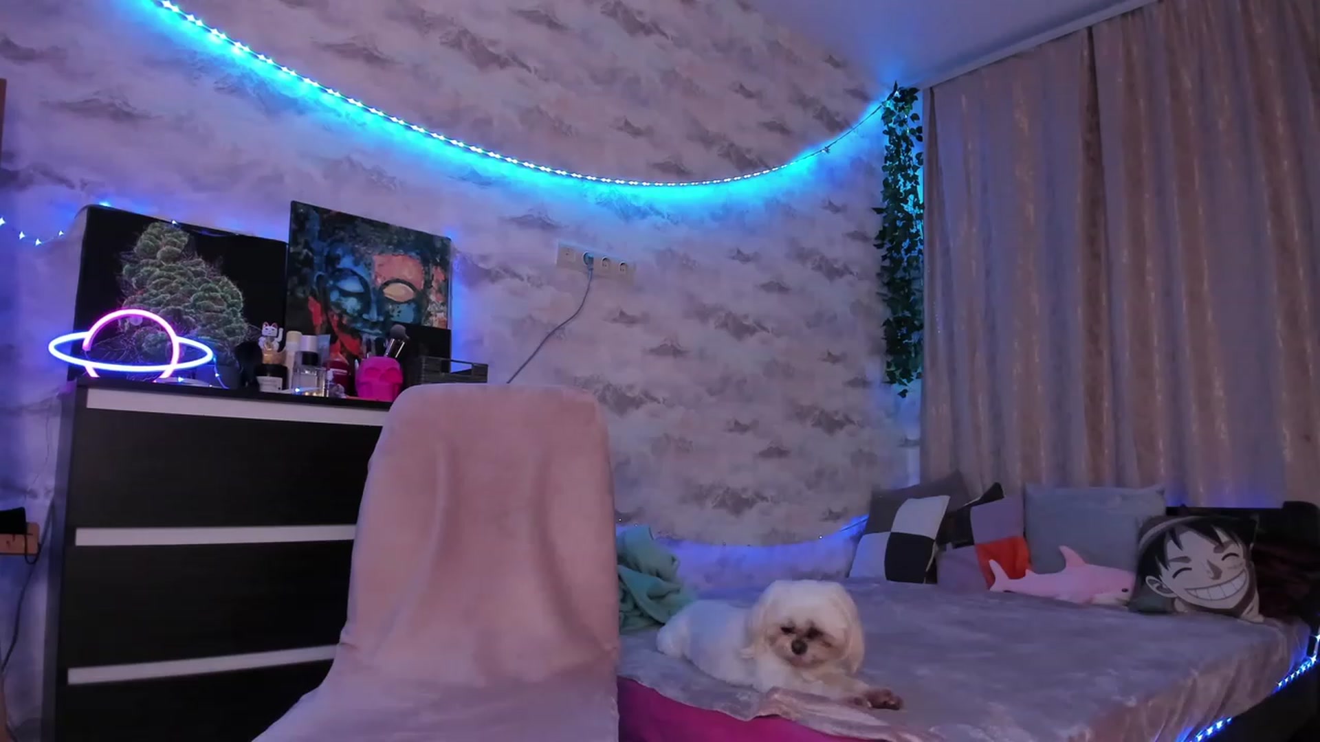 Gallery image thumbnail from TemptingSiren's myfreecams stream on, 11/22/2023, 04:09 image 18 of 20