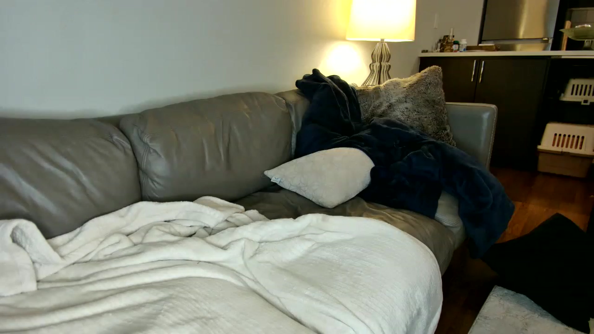 Gallery image thumbnail from TenYearsOnMFC's myfreecams stream on, 04/30/2023, 21:38 image 10 of 20