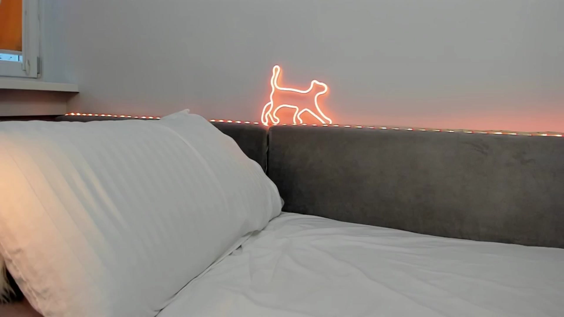 Gallery image thumbnail from Tenar's myfreecams stream on, 03/17/2026, 17:11 image 11 of 20