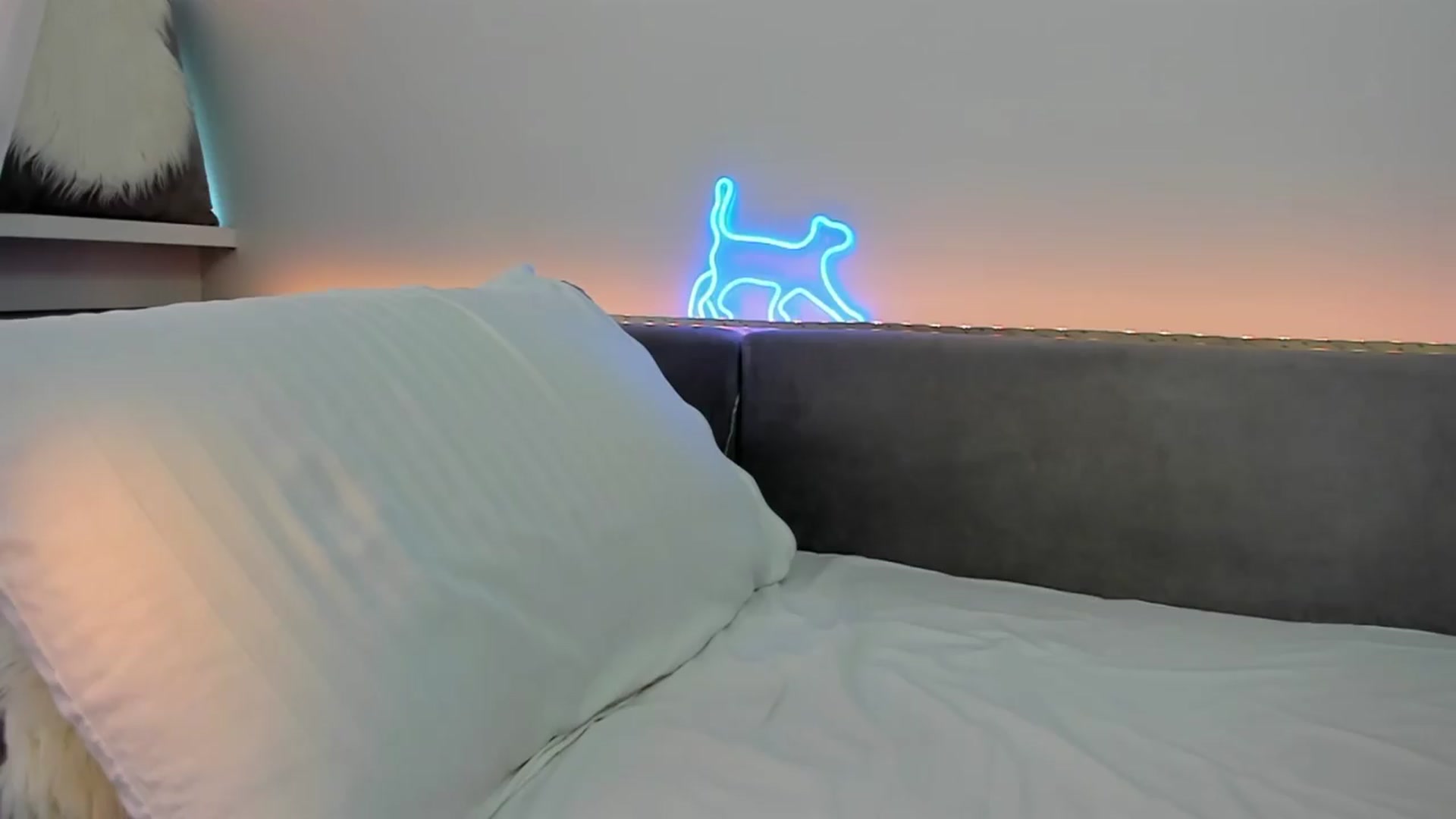 Gallery image thumbnail from Tenar's myfreecams stream on, 05/17/2026, 09:33 image 11 of 20