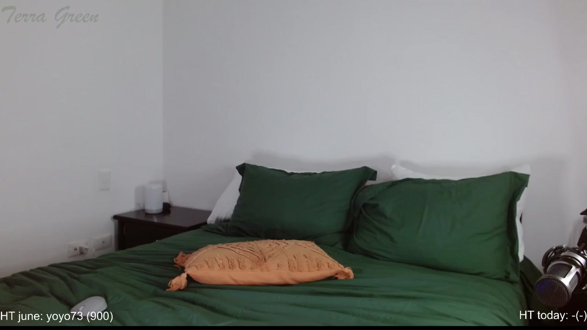 Gallery image thumbnail from TerraGreen's myfreecams stream on, 06/07/2023, 22:49 image 7 of 20