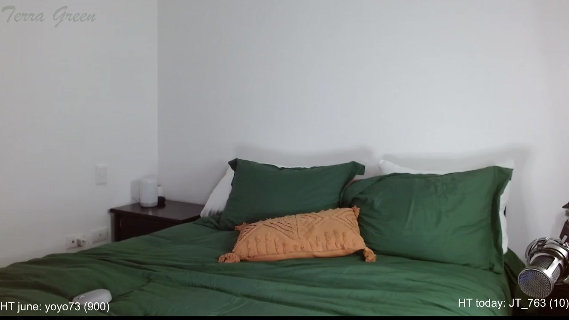 Gallery image thumbnail from TerraGreen's myfreecams stream on, 06/07/2023, 22:49 image 11 of 20