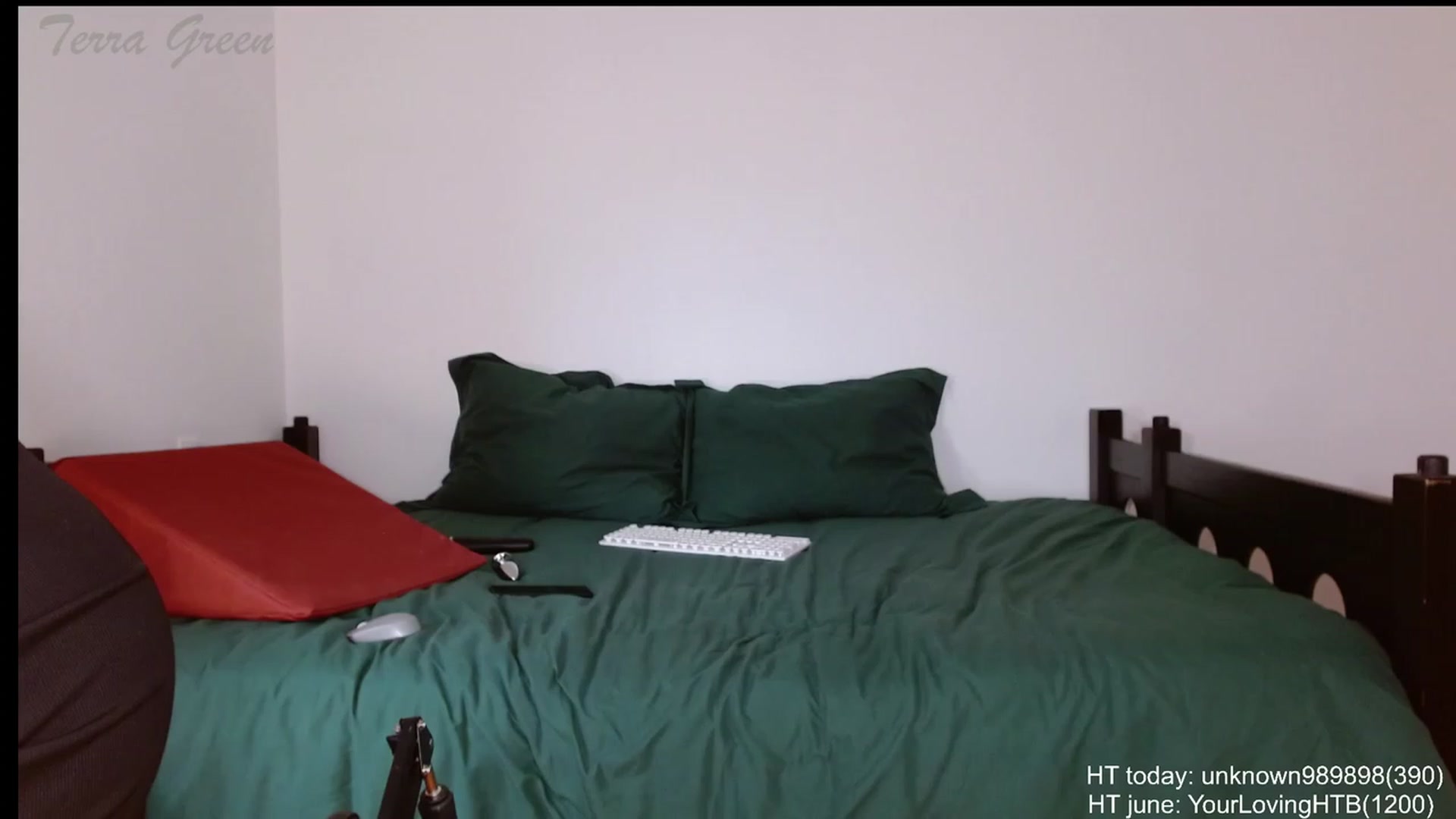Gallery image thumbnail from TerraGreen's myfreecams stream on, 06/30/2023, 22:40 image 20 of 20