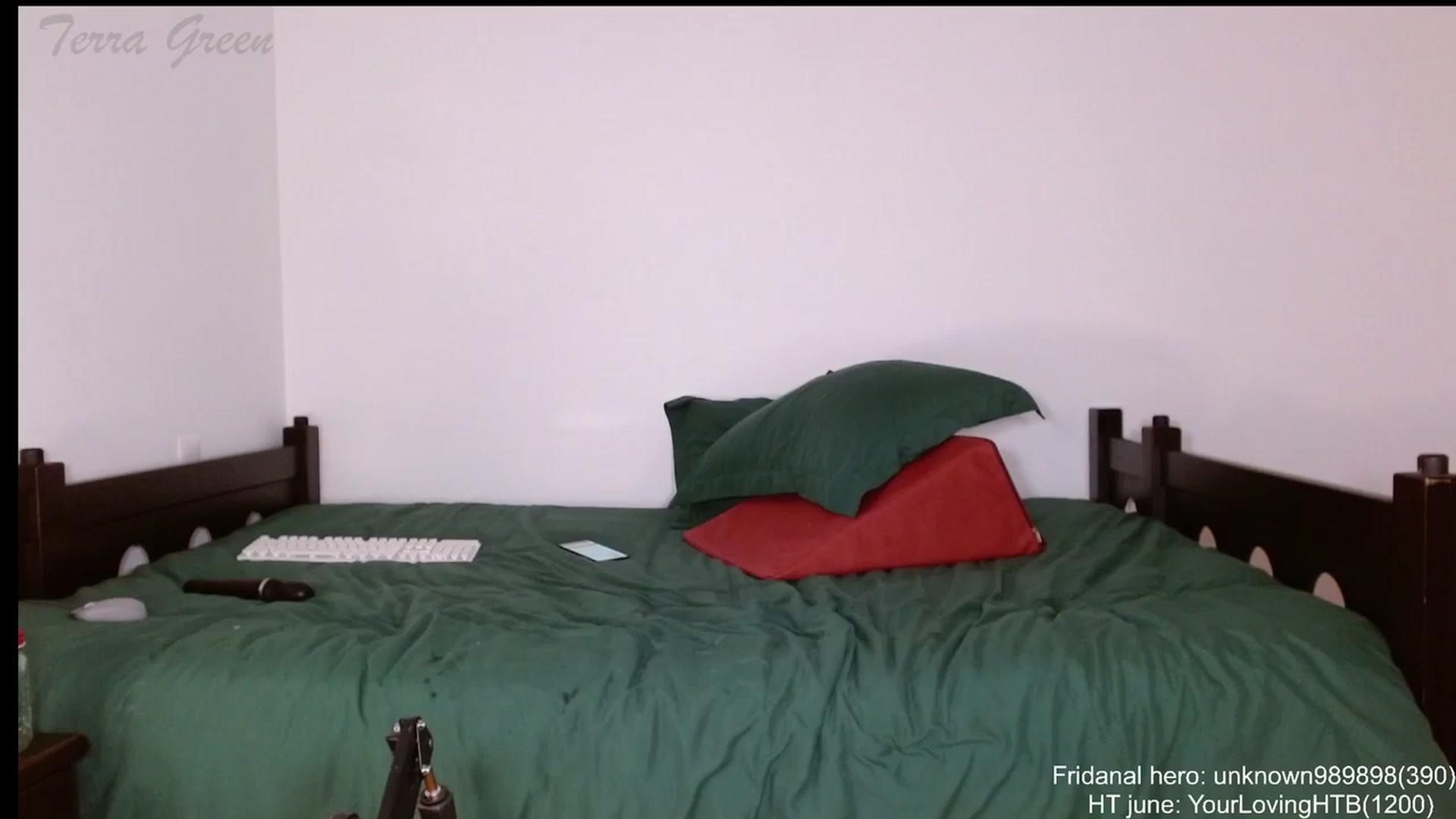 Gallery image thumbnail from TerraGreen's myfreecams stream on, 07/01/2023, 01:47 image 17 of 20
