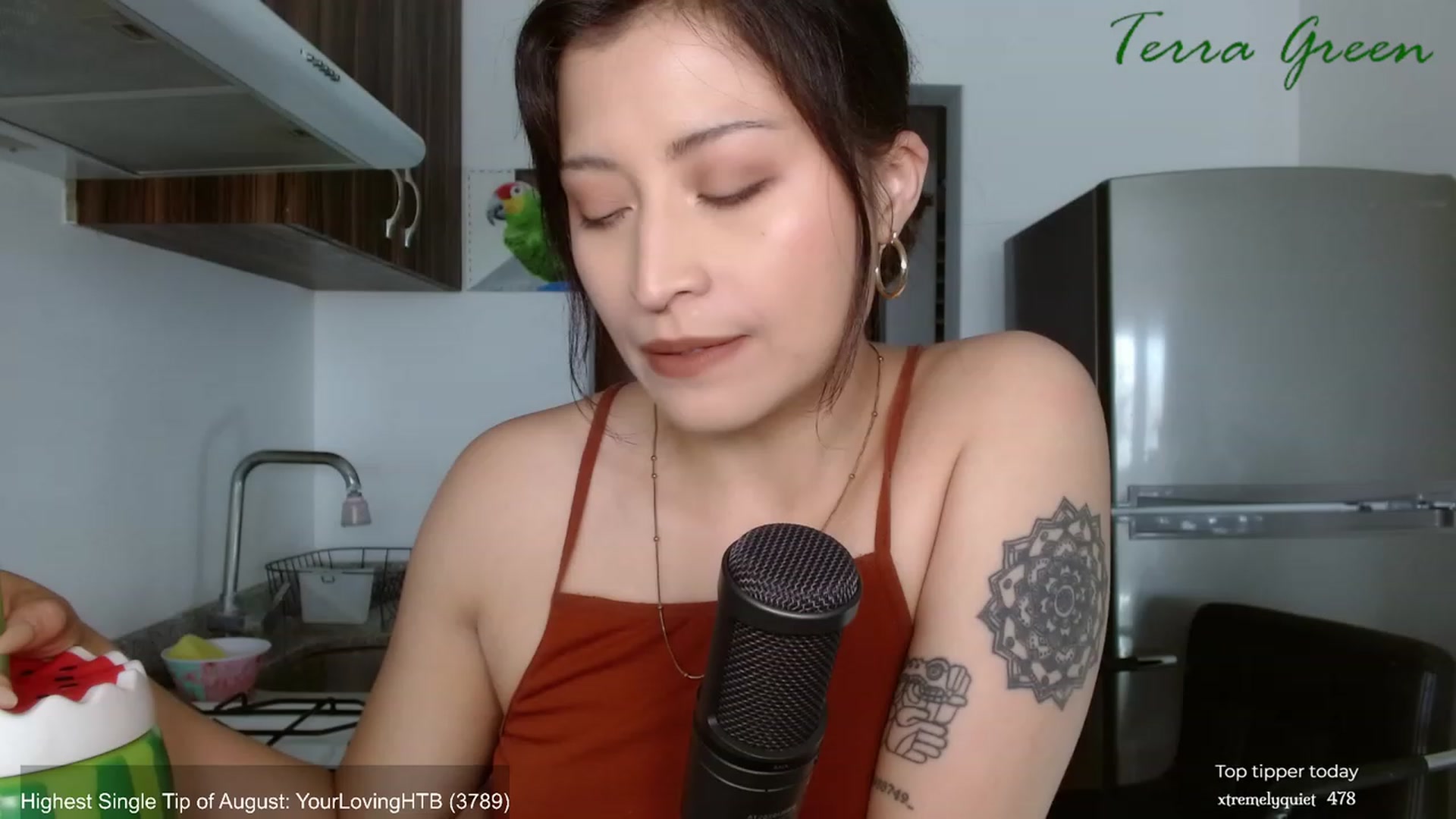 Gallery image thumbnail from TerraGreen's myfreecams stream on, 08/20/2023, 19:01 image 9 of 20