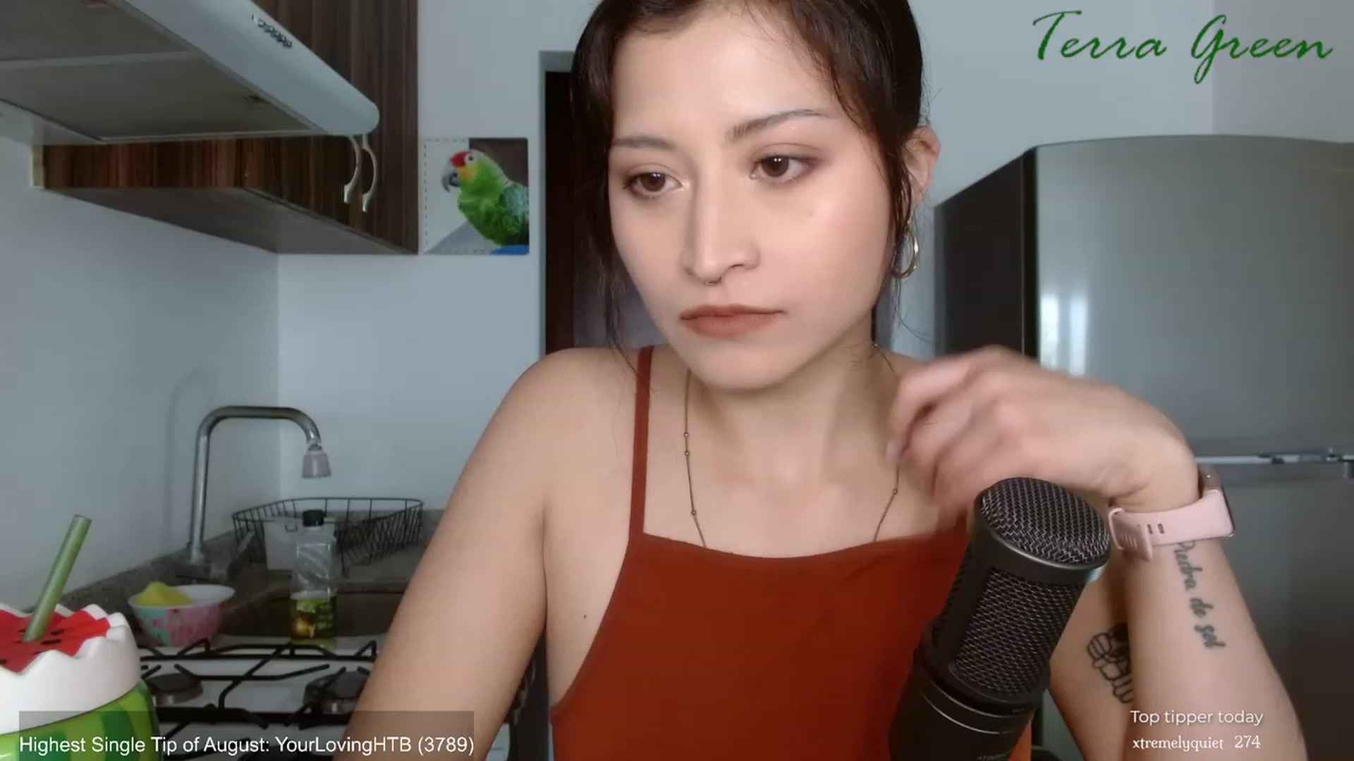 Gallery image thumbnail from TerraGreen's myfreecams stream on, 08/20/2023, 19:01 image 4 of 20