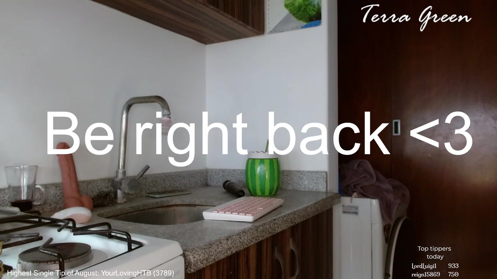 Gallery image thumbnail from TerraGreen's myfreecams stream on, 08/20/2023, 21:02 image 7 of 20