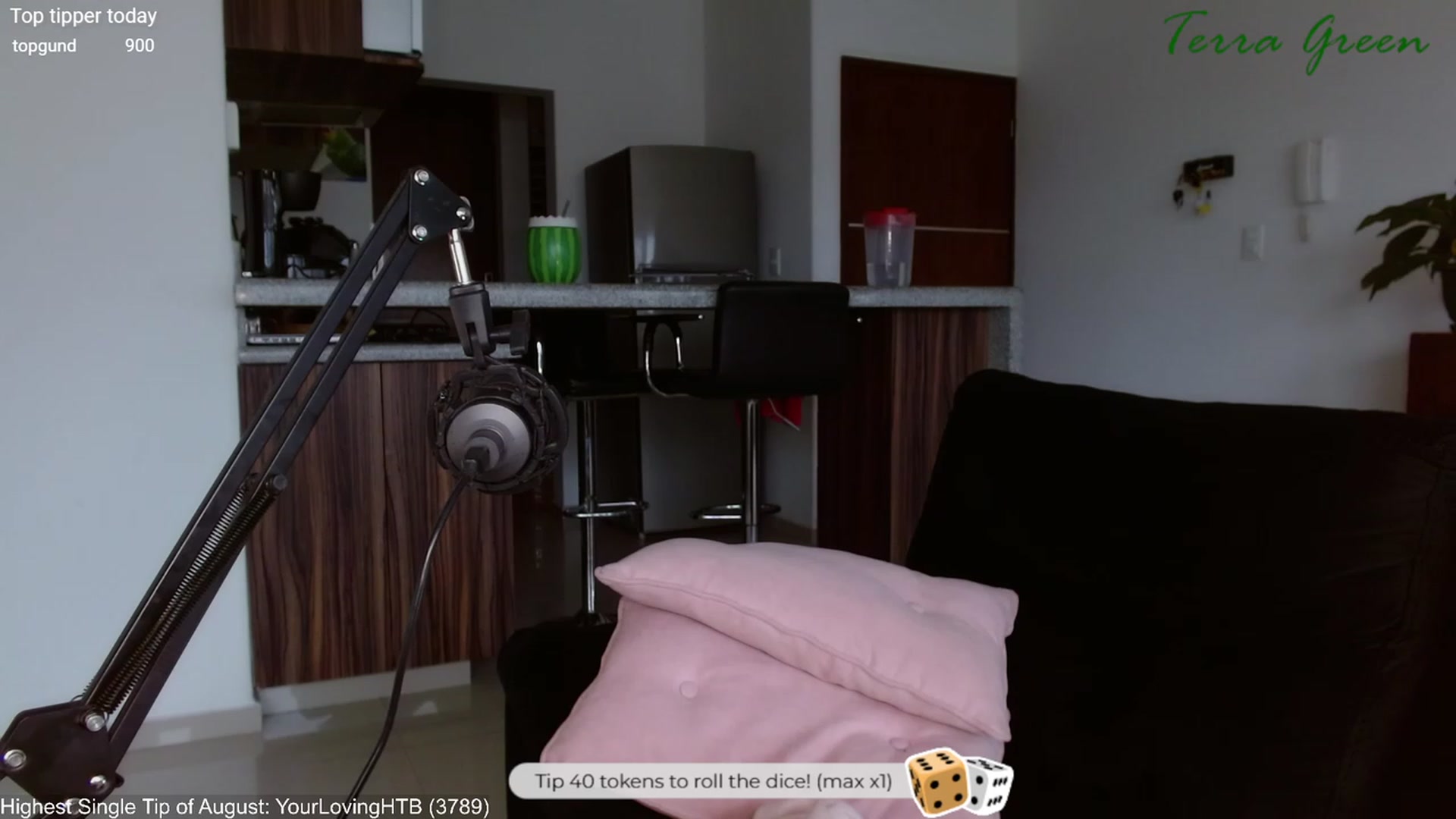 Gallery image thumbnail from TerraGreen's myfreecams stream on, 08/25/2023, 23:13 image 11 of 20