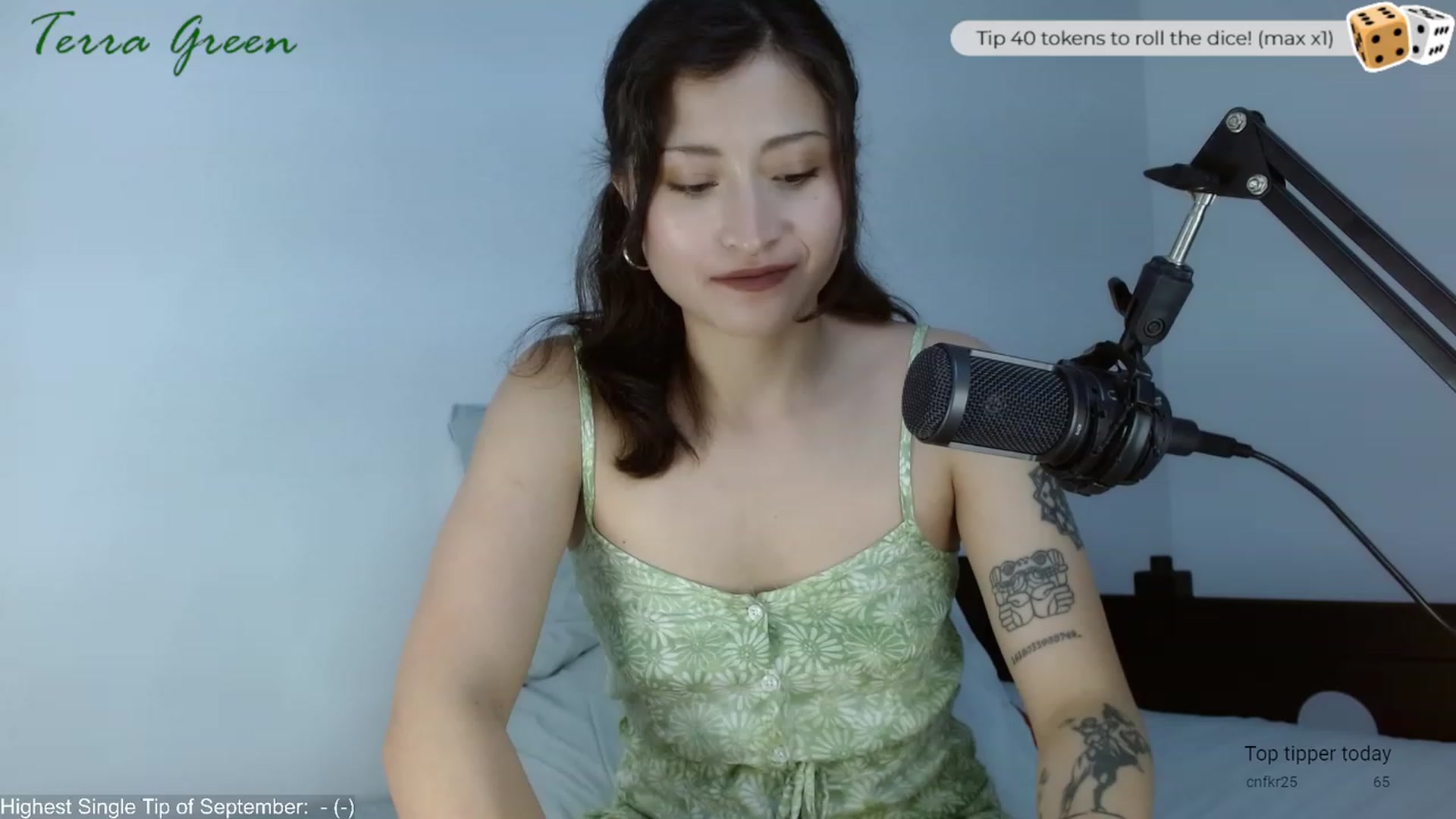 Gallery image thumbnail from TerraGreen's myfreecams stream on, 09/01/2023, 23:57 image 18 of 20