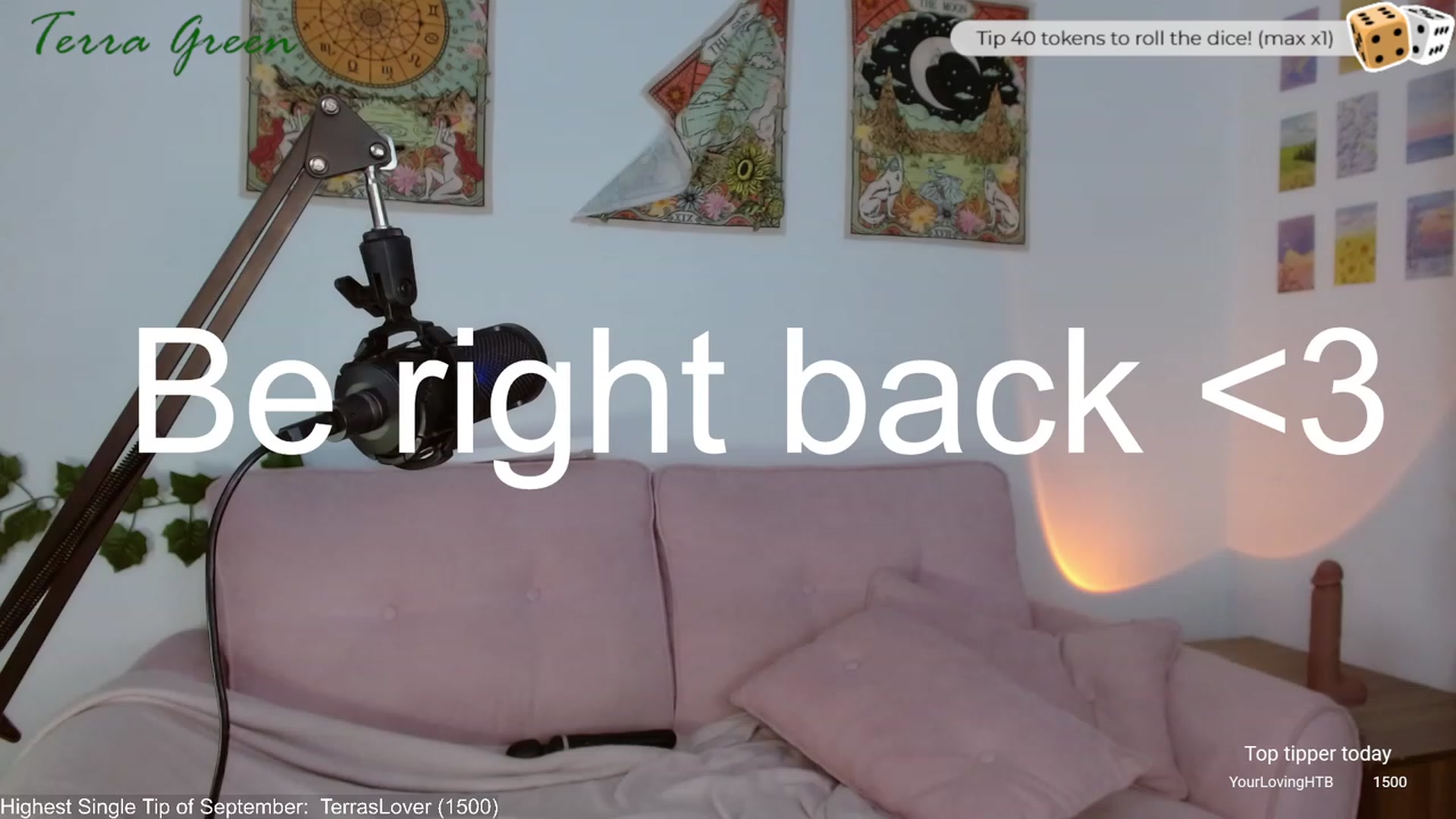 Gallery image thumbnail from TerraGreen's myfreecams stream on, 09/06/2023, 02:02 image 18 of 20