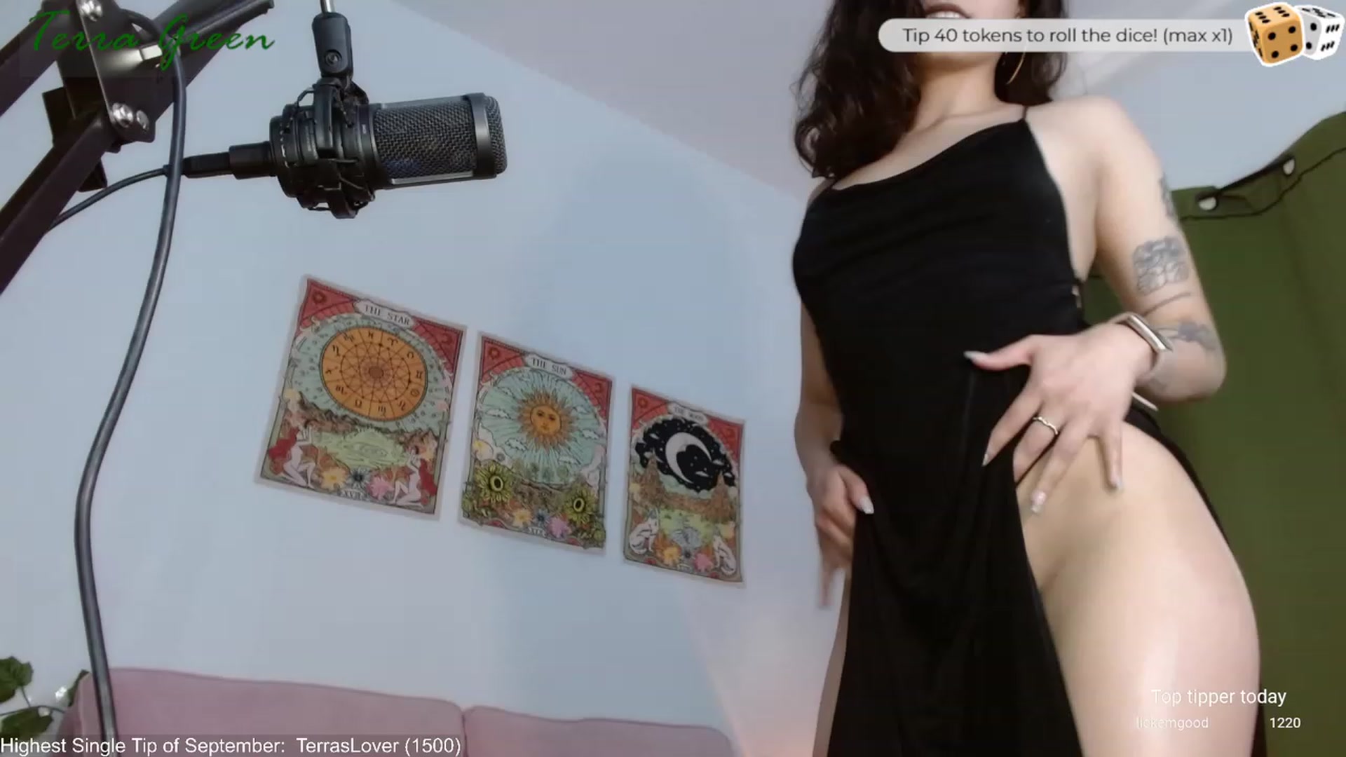 Gallery image thumbnail from TerraGreen's myfreecams stream on, 09/09/2023, 20:33 image 4 of 20