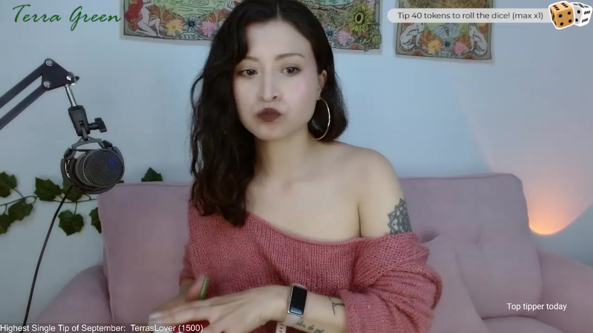 Gallery image thumbnail from TerraGreen's myfreecams stream on, 09/12/2023, 17:23 image 3 of 20