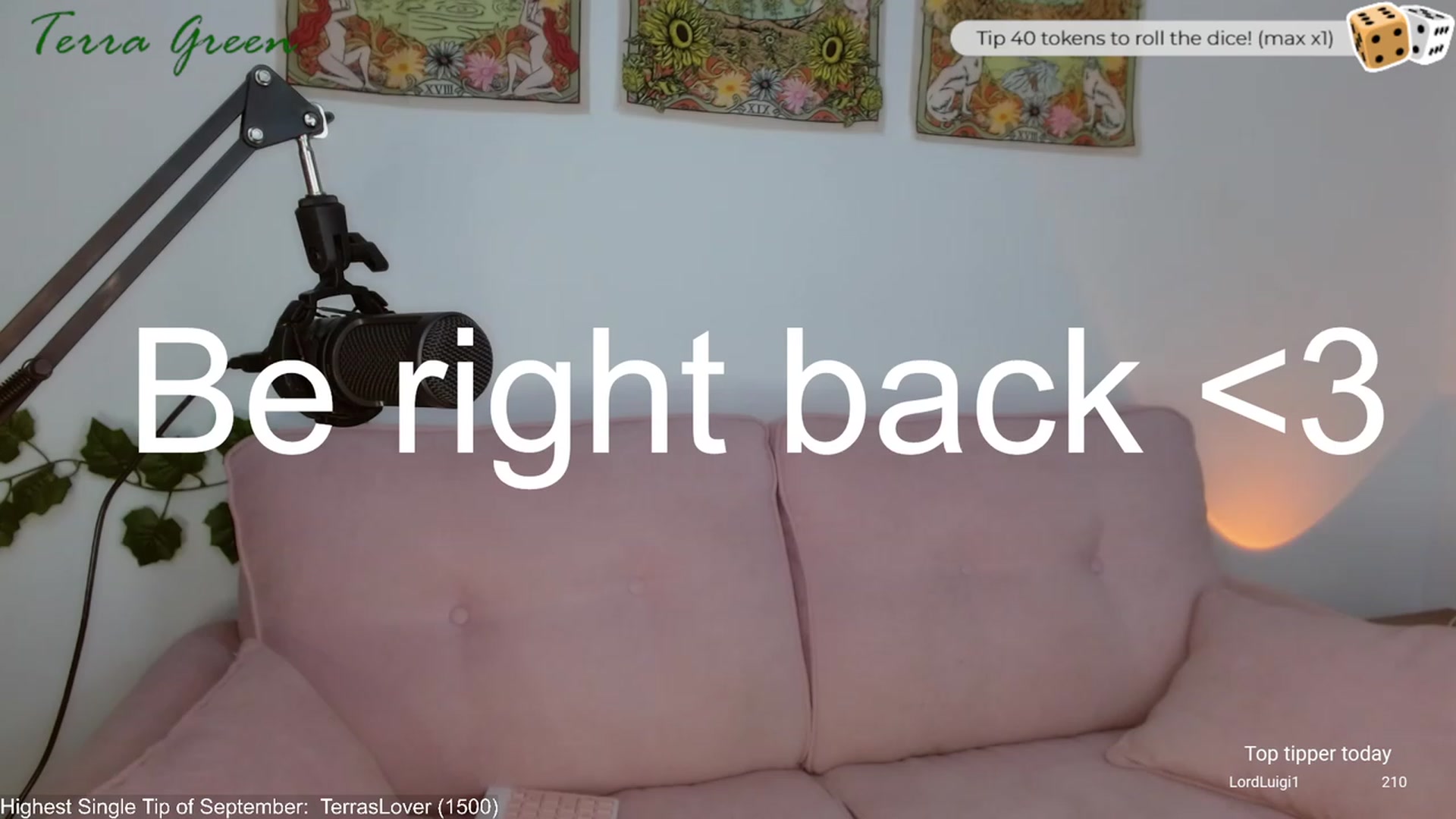 Gallery image thumbnail from TerraGreen's myfreecams stream on, 09/12/2023, 20:09 image 17 of 20