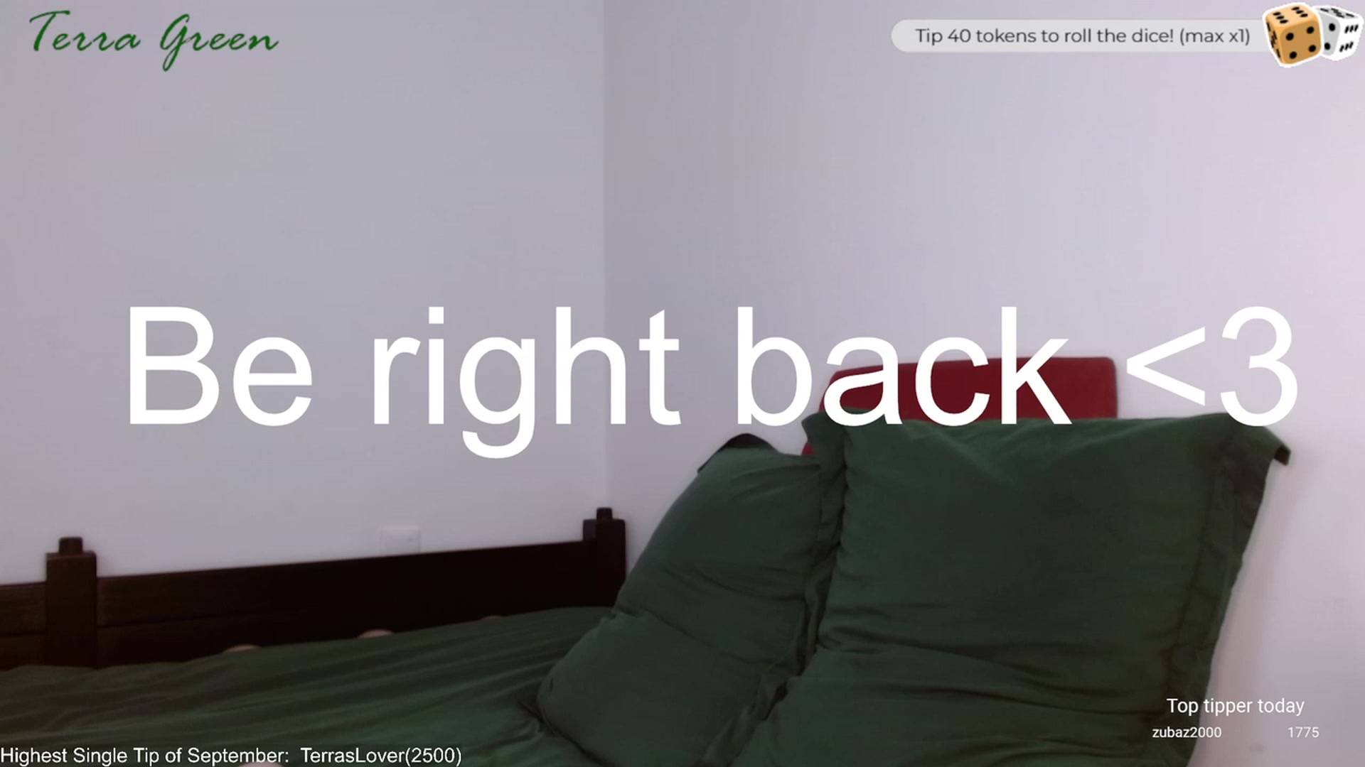 Gallery image thumbnail from TerraGreen's myfreecams stream on, 09/30/2023, 19:38 image 3 of 20