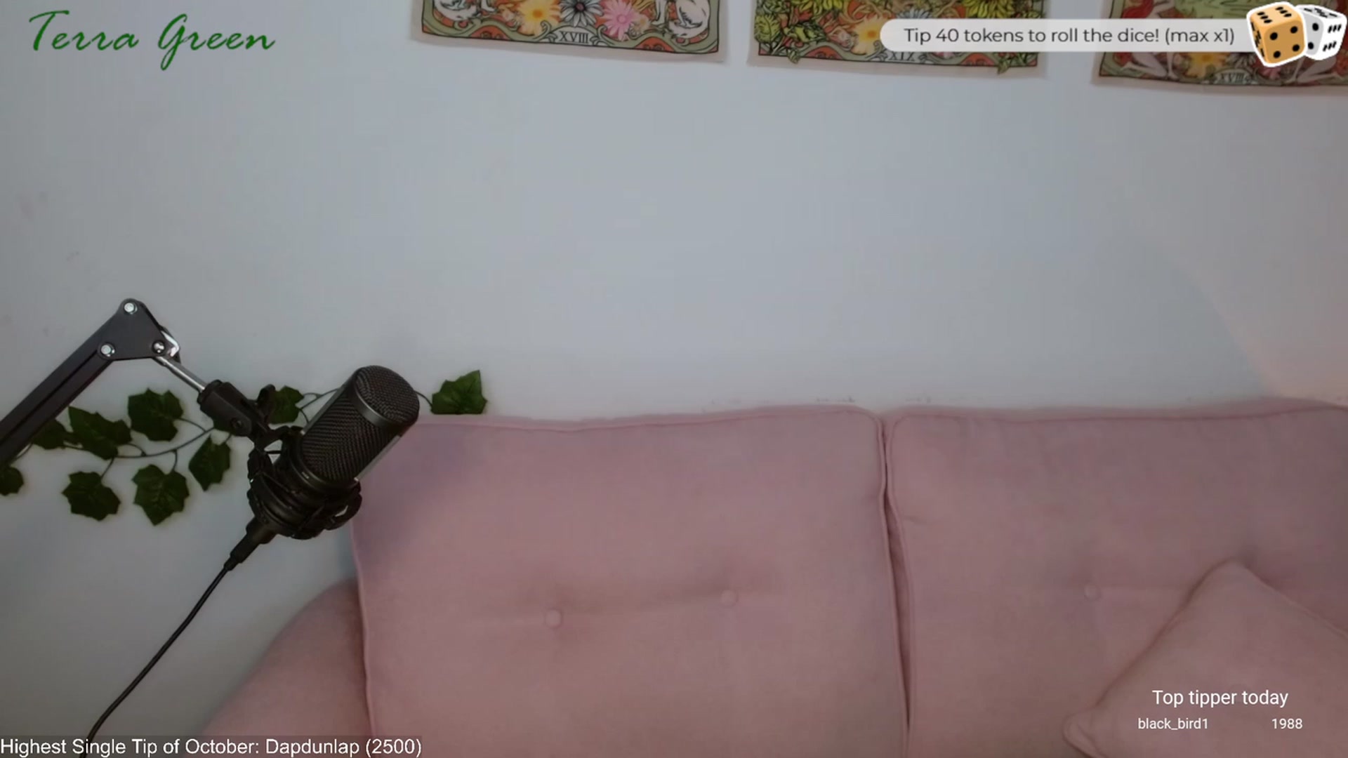 Gallery image thumbnail from TerraGreen's myfreecams stream on, 10/06/2023, 19:43 image 11 of 20