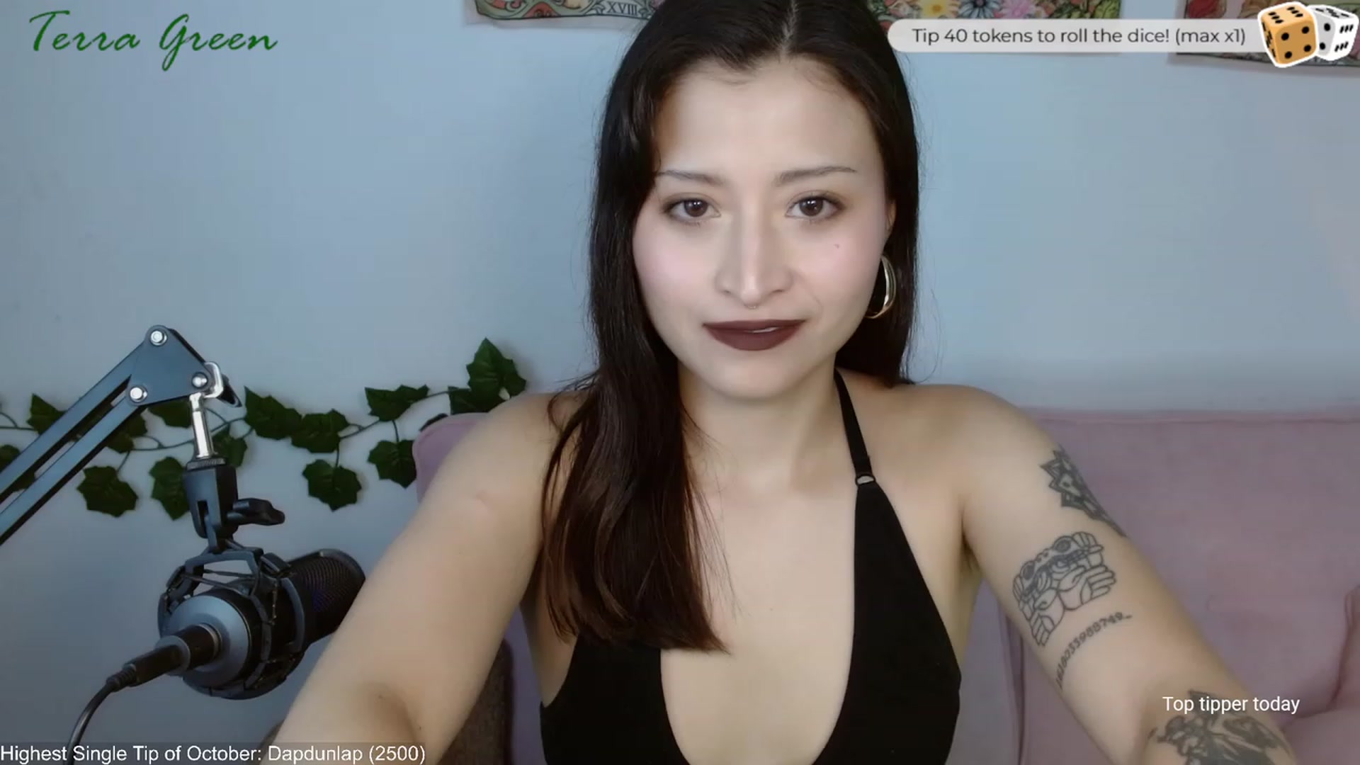 Gallery image thumbnail from TerraGreen's myfreecams stream on, 10/24/2023, 18:03 image 3 of 20