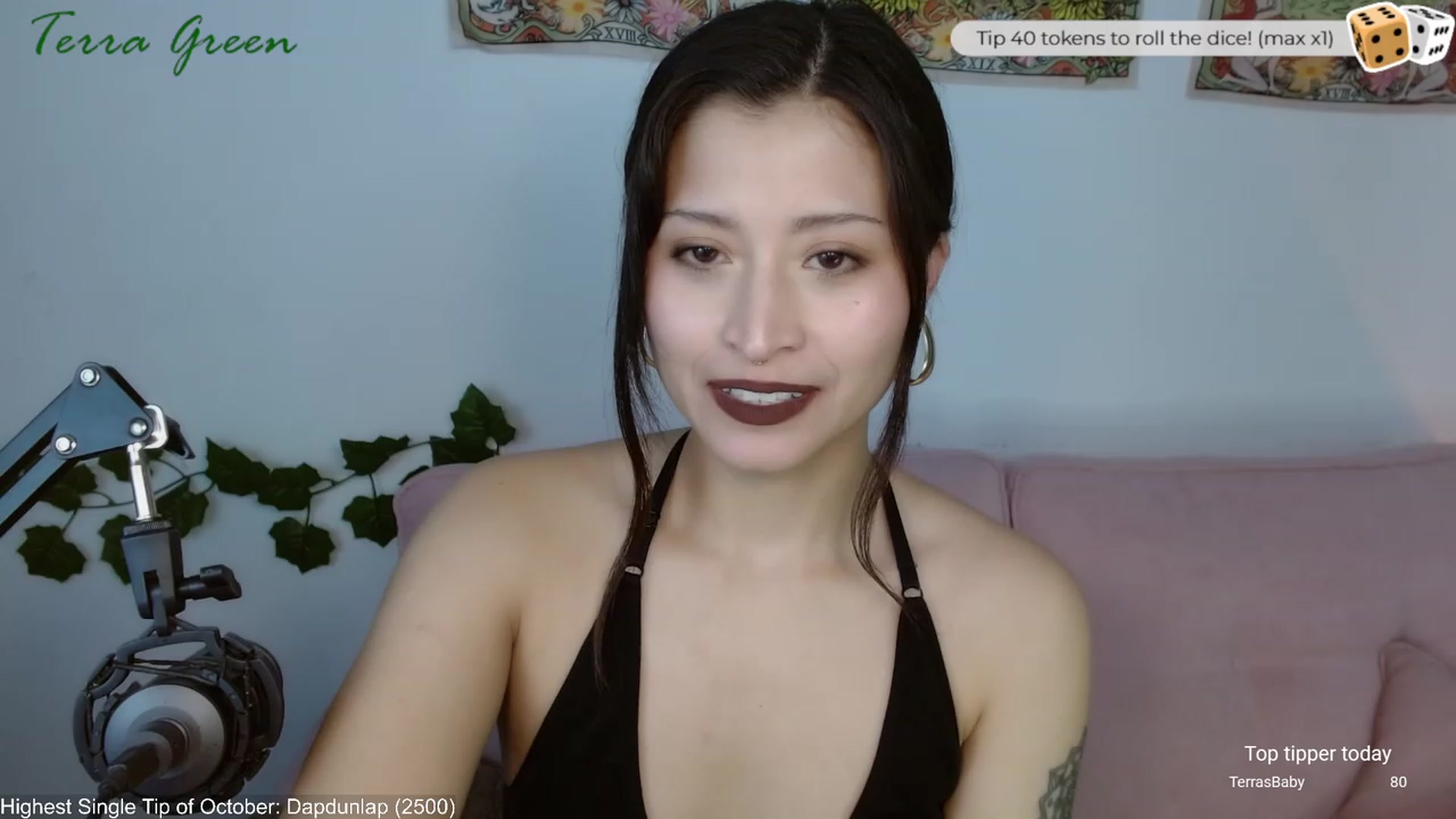 Gallery image thumbnail from TerraGreen's myfreecams stream on, 10/24/2023, 18:03 image 12 of 20