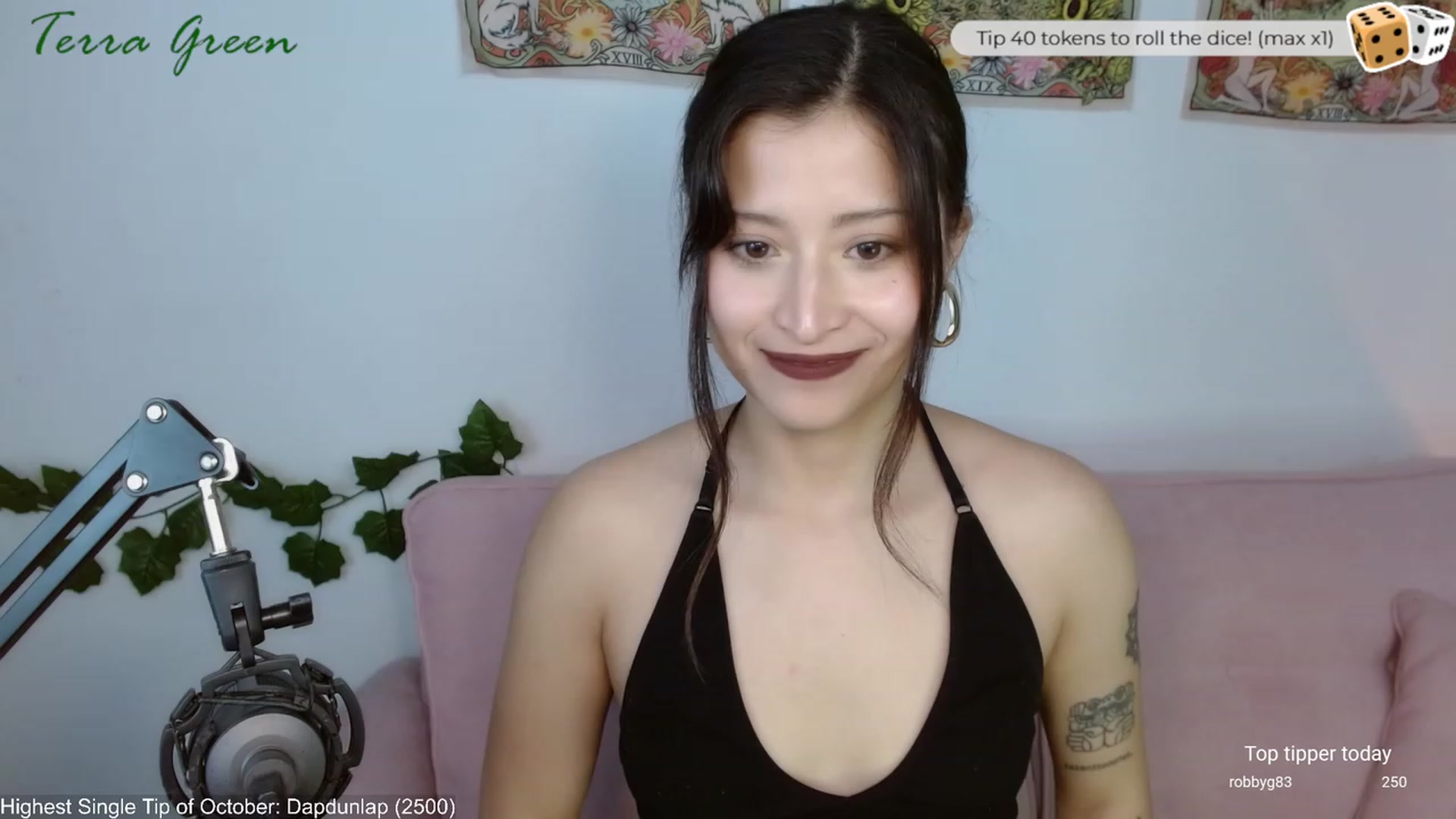 Gallery image thumbnail from TerraGreen's myfreecams stream on, 10/24/2023, 19:42 image 18 of 20