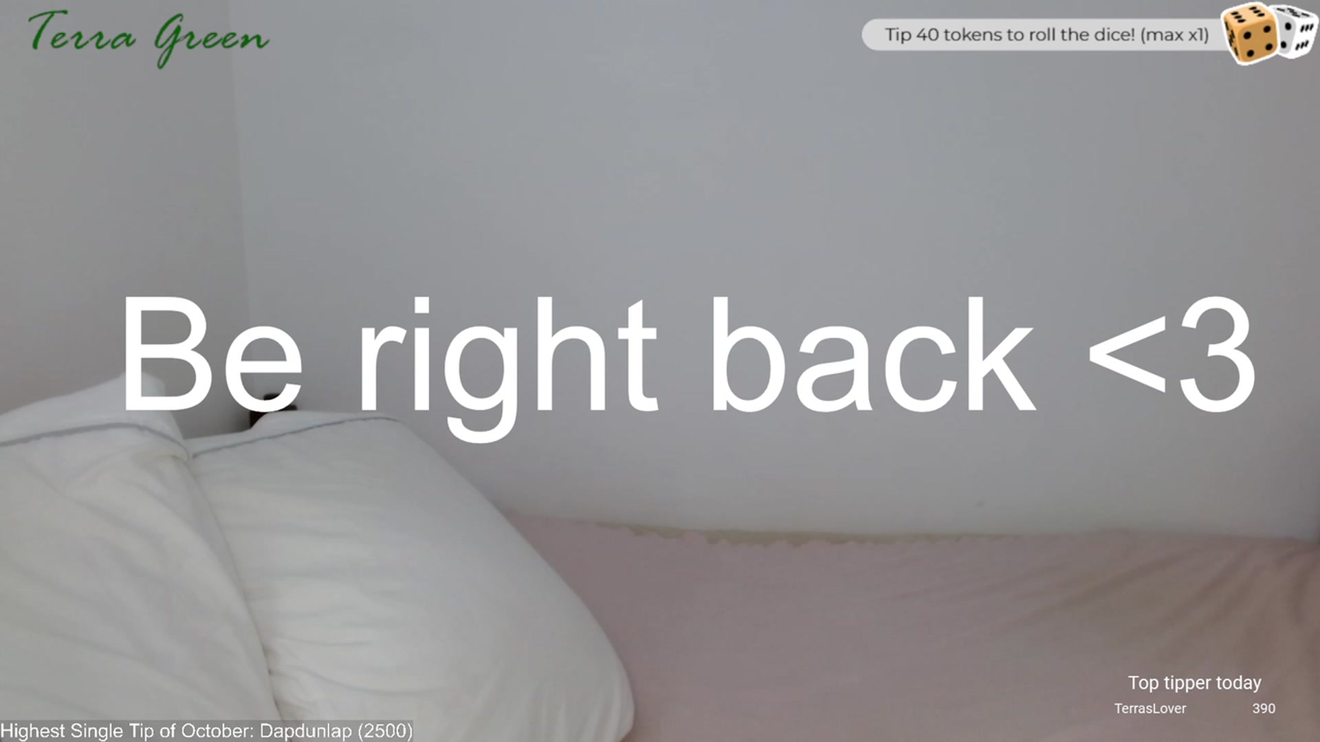 Gallery image thumbnail from TerraGreen's myfreecams stream on, 10/25/2023, 18:37 image 16 of 20