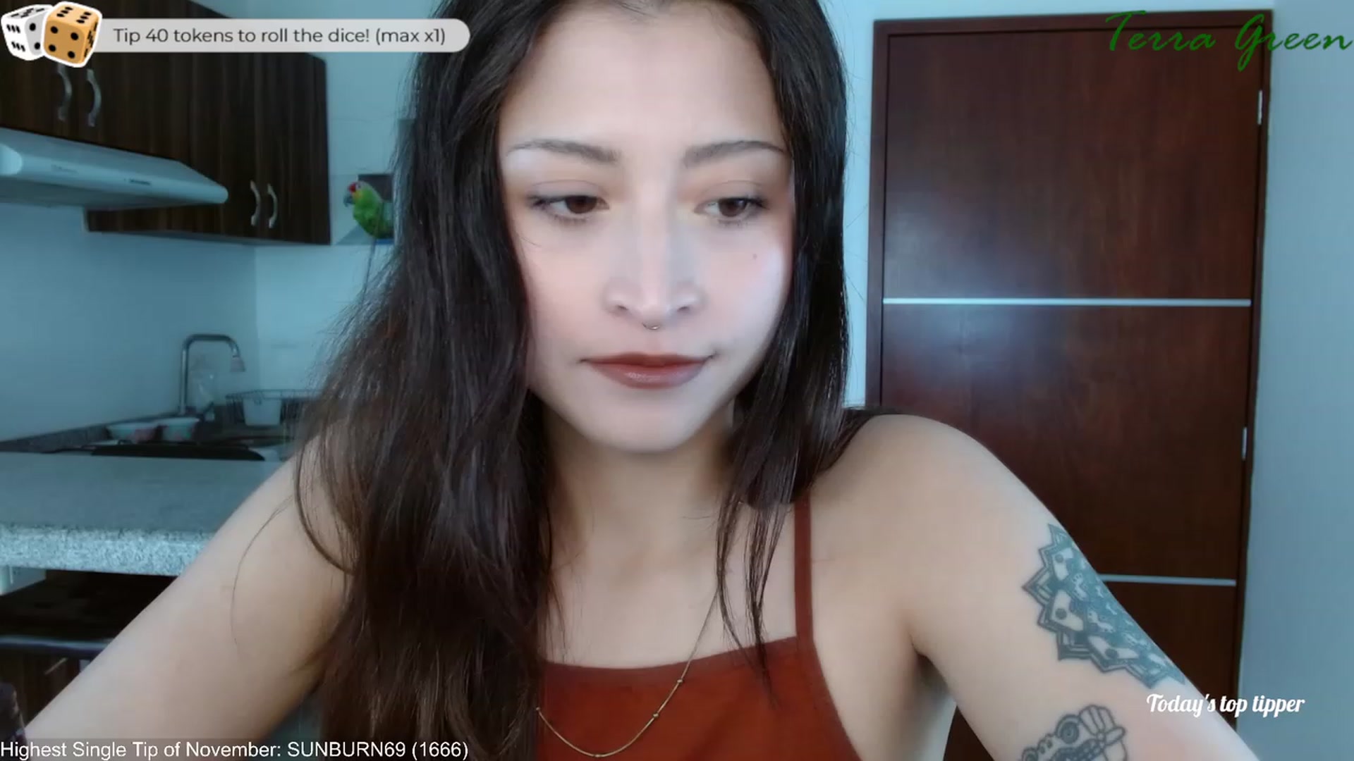 Gallery image thumbnail from TerraGreen's myfreecams stream on, 11/12/2023, 21:09 image 2 of 20