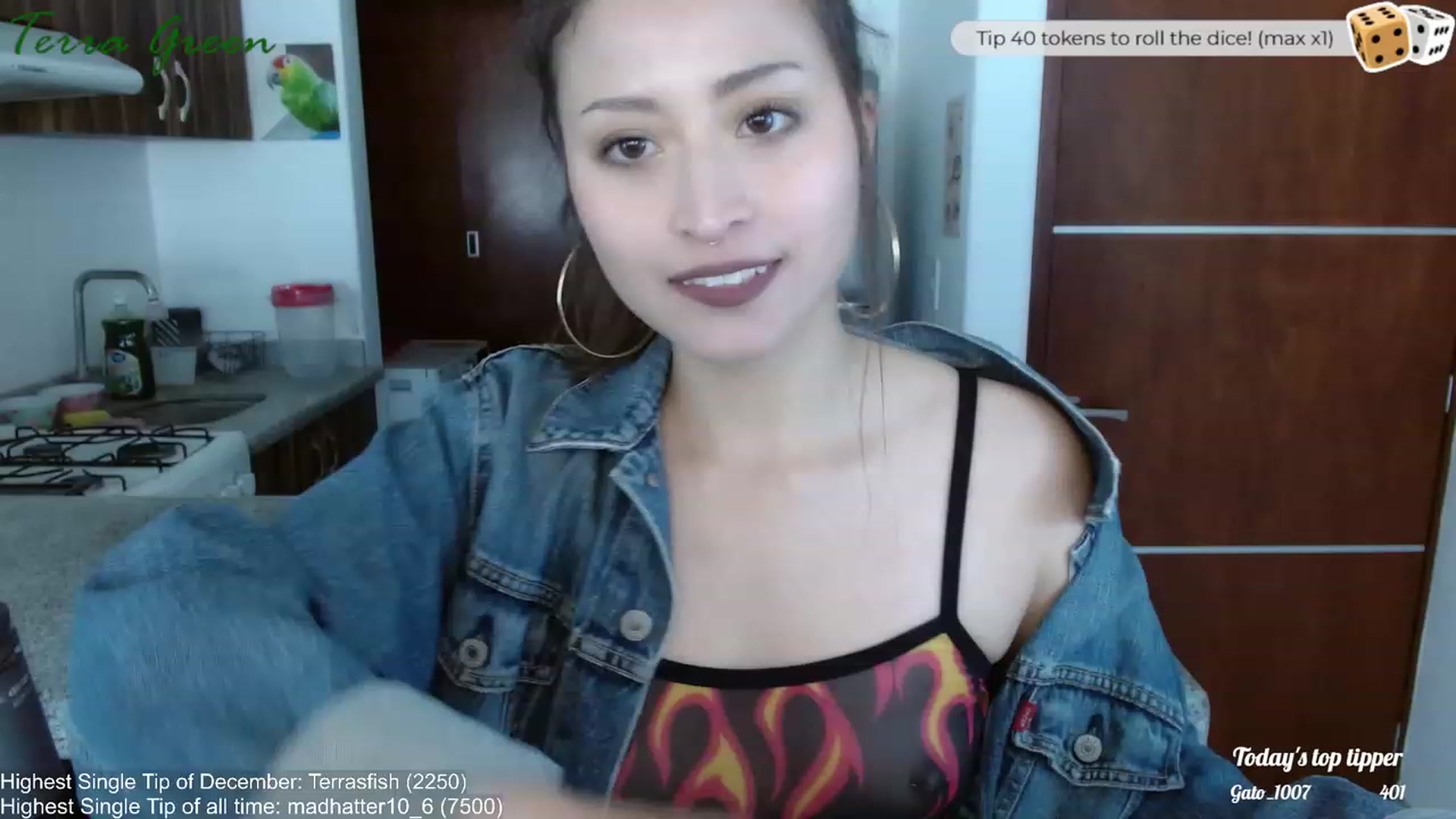 Gallery image thumbnail from TerraGreen's myfreecams stream on, 12/19/2023, 18:19 image 5 of 20