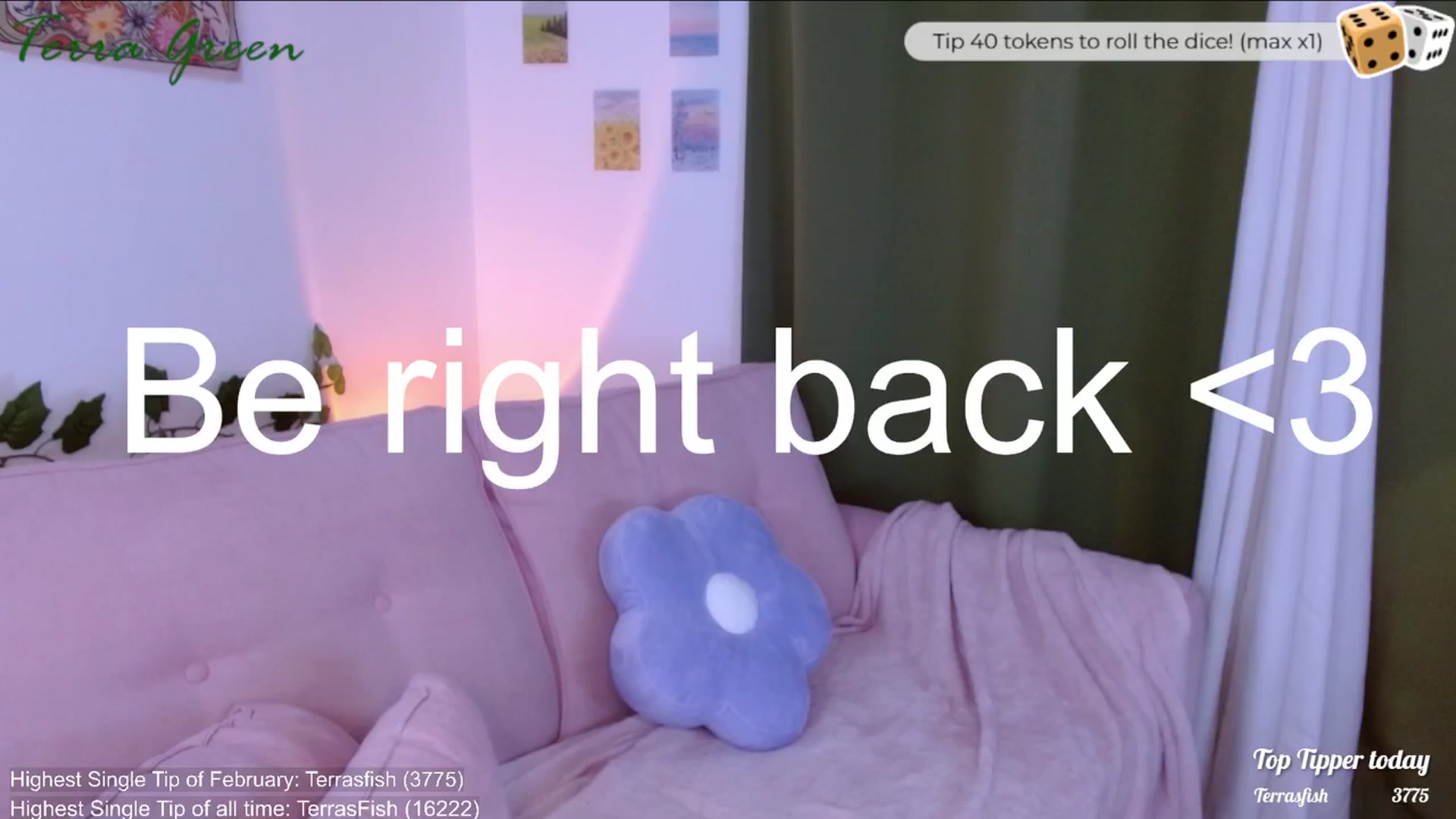 Gallery image thumbnail from TerraGreen's myfreecams stream on, 02/25/2024, 18:31 image 10 of 20